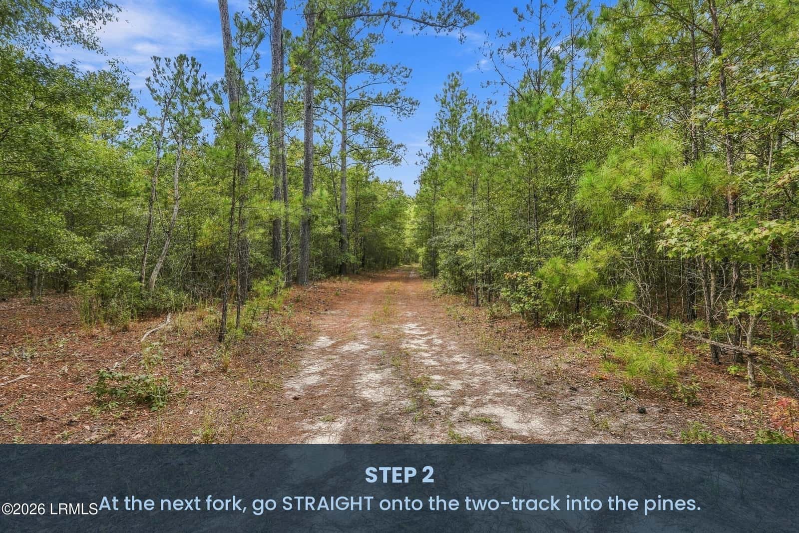 Tbd Calf Pen Bay Road, Pineland, SC 29934 — photo 4 of 14
