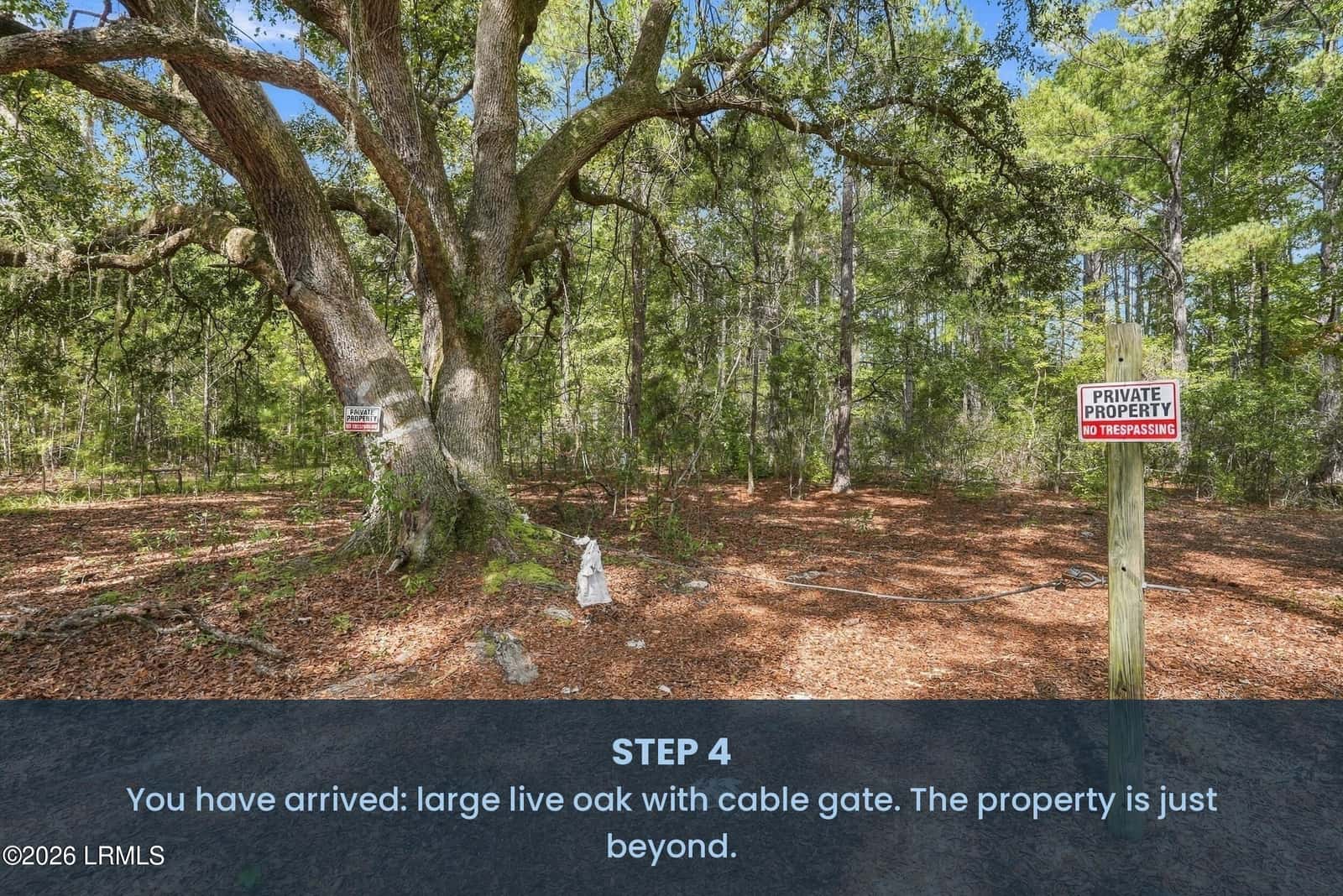 Tbd Calf Pen Bay Road, Pineland, SC 29934 — photo 6 of 14