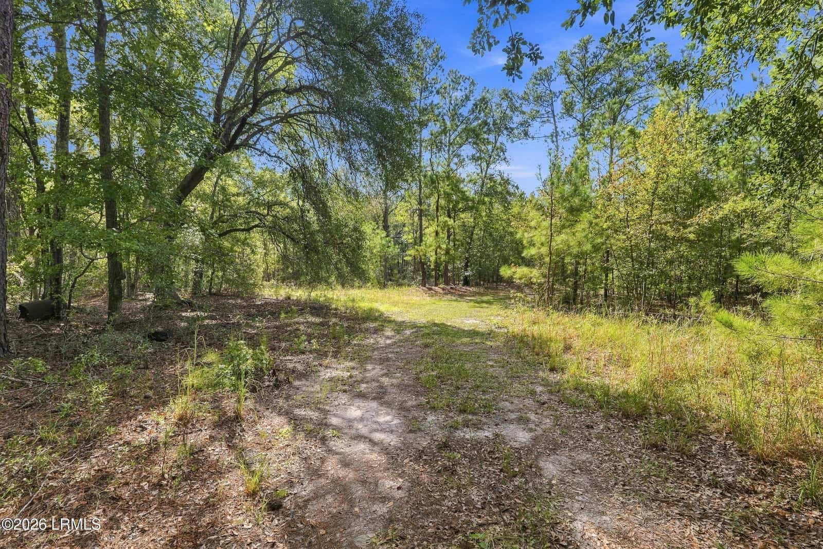 Tbd Calf Pen Bay Road, Pineland, SC 29934 — photo 7 of 14