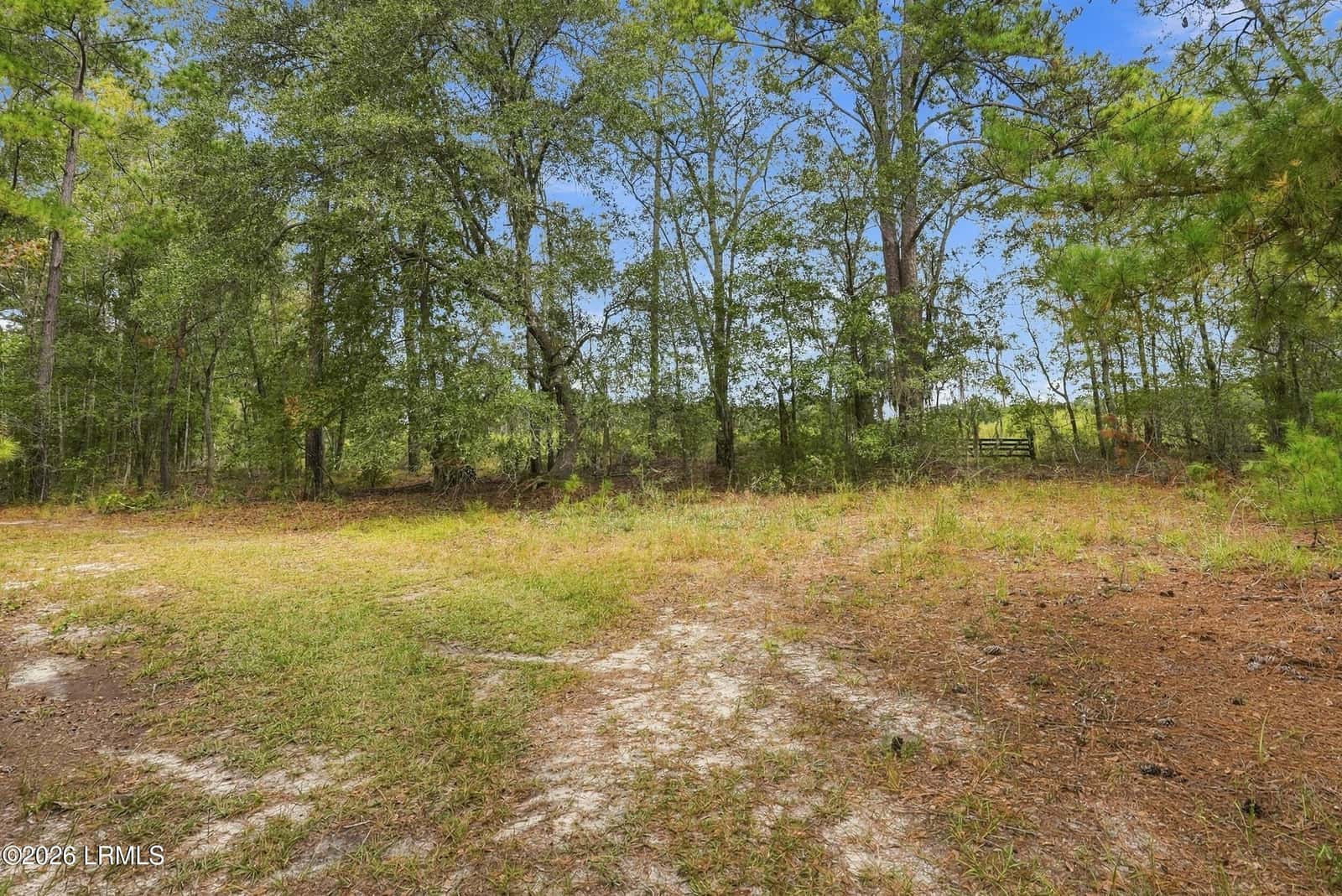 Tbd Calf Pen Bay Road, Pineland, SC 29934 — photo 8 of 14