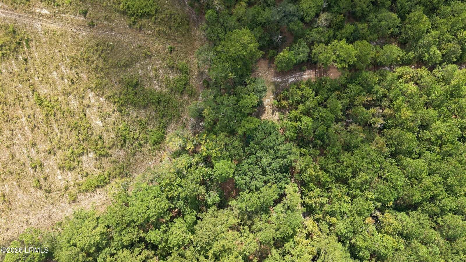 Tbd Calf Pen Bay Road, Pineland, SC 29934 — photo 9 of 14