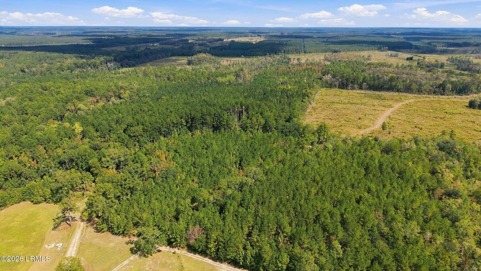 Tbd Calf Pen Bay Road, Pineland, SC 29934 — photo 10 of 14