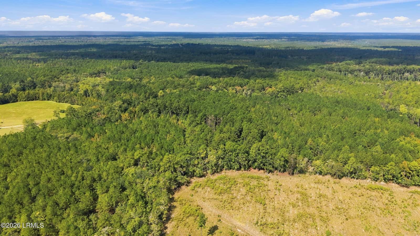Tbd Calf Pen Bay Road, Pineland, SC 29934 — photo 11 of 14