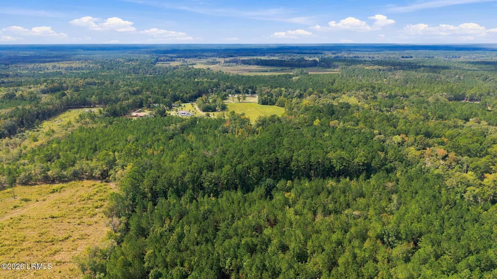 Tbd Calf Pen Bay Road, Pineland, SC 29934 — photo 12 of 14