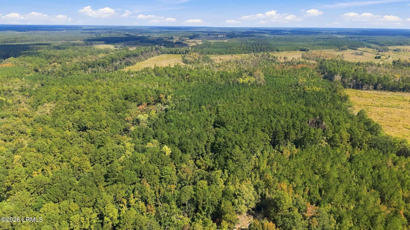 Tbd Calf Pen Bay Road, Pineland, SC 29934 — photo 13 of 14
