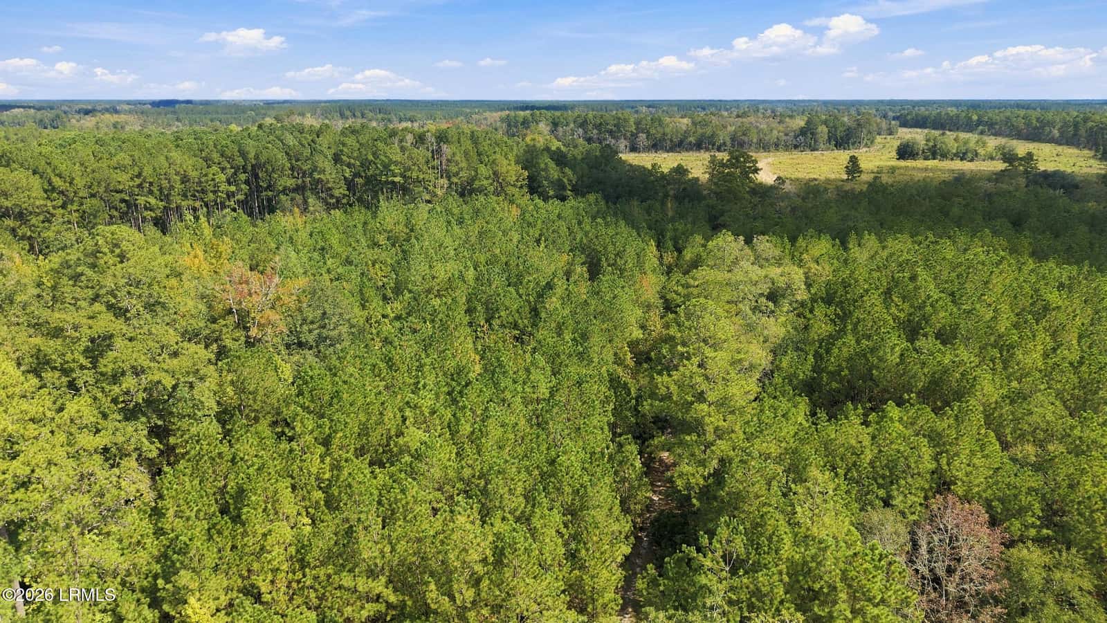 Tbd Calf Pen Bay Road, Pineland, SC 29934 — photo 14 of 14