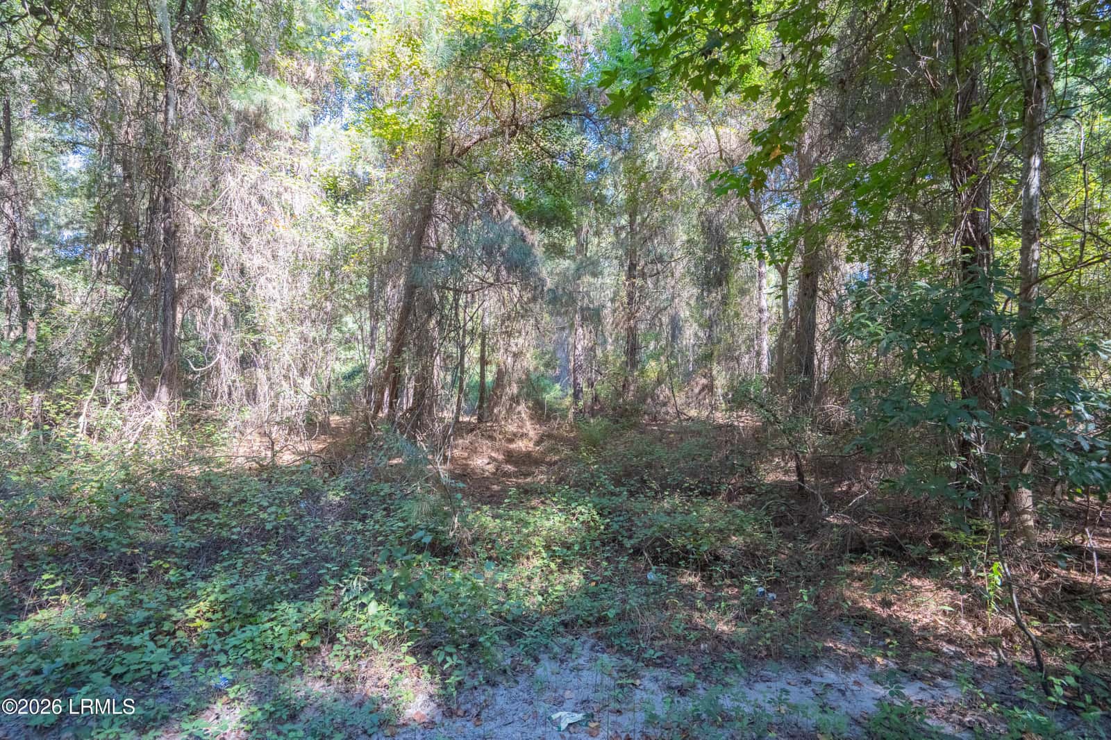 15 Chaplin Drive, St. Helena Island, SC 29920 — photo 5 of 10