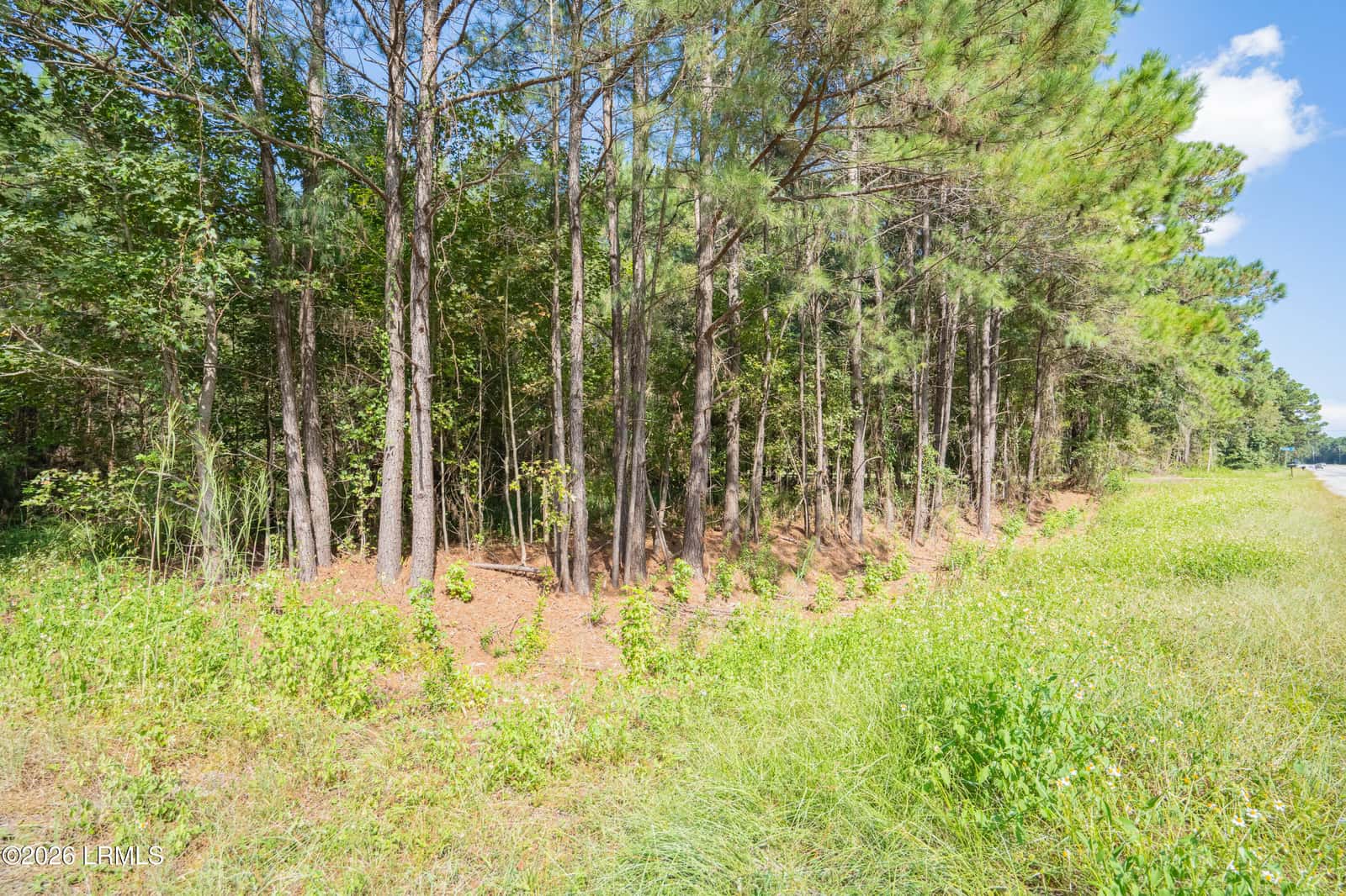 18 Mustang Lane, St. Helena Island, SC 29920 — photo 3 of 4