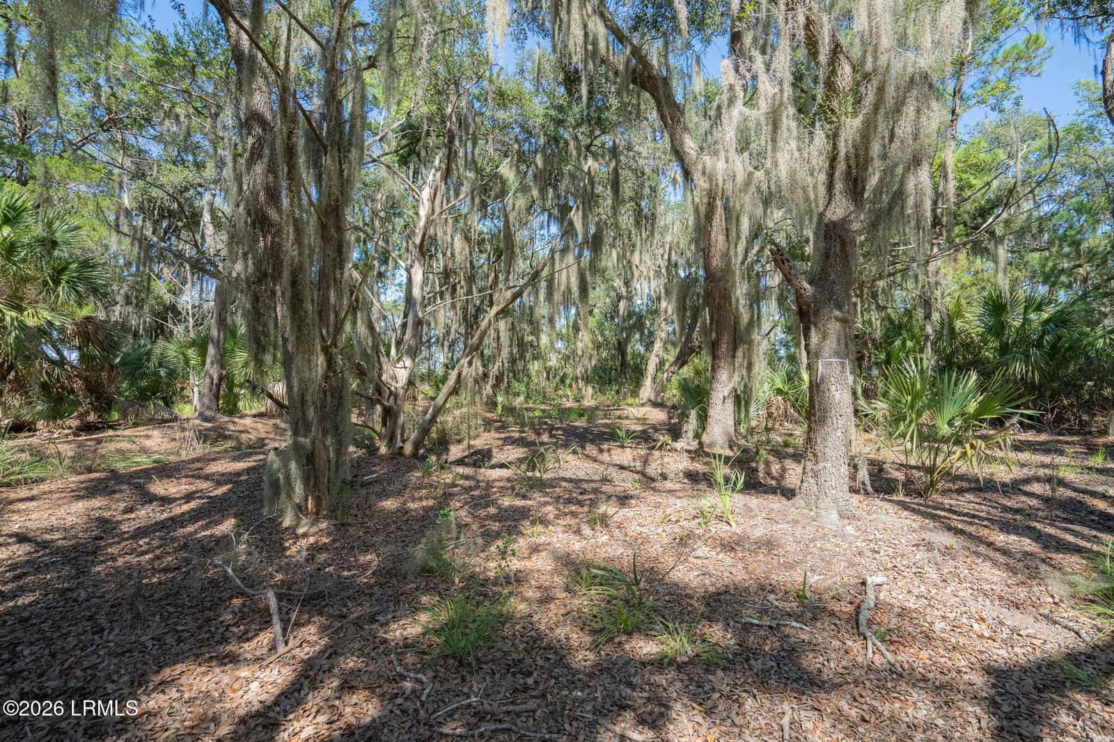 72 Bay Drive, Beaufort, SC 29907 — photo 7 of 25