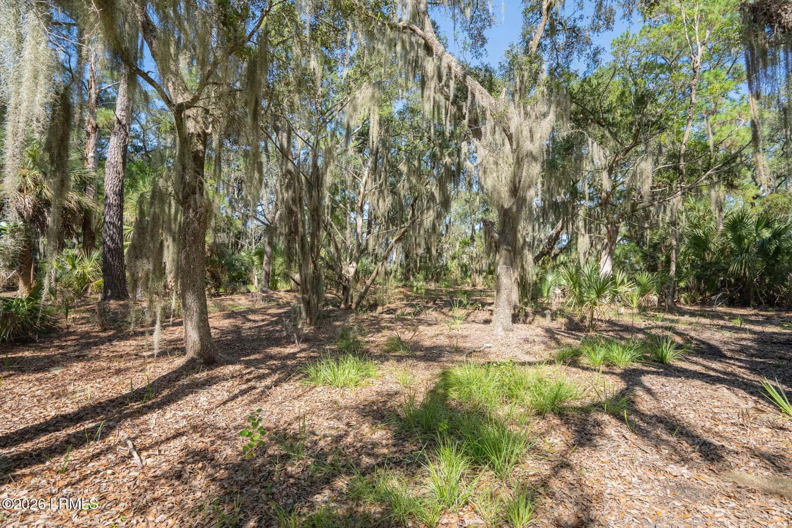 72 Bay Drive, Beaufort, SC 29907 — photo 8 of 25