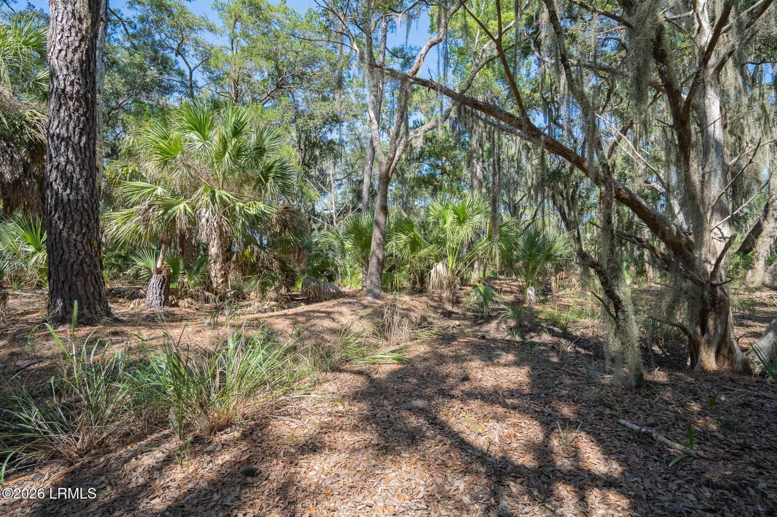 72 Bay Drive, Beaufort, SC 29907 — photo 9 of 25