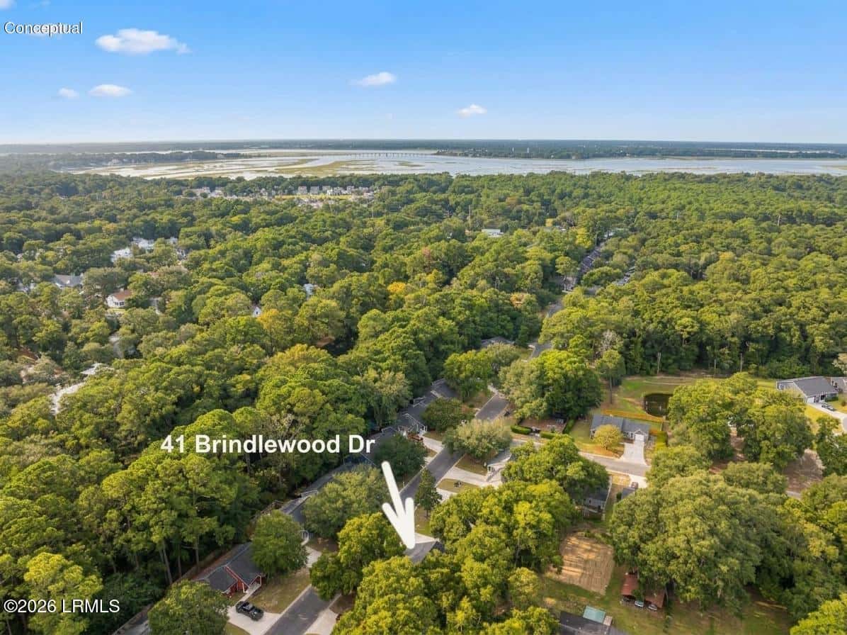 41 Brindlewood Drive, Beaufort, SC 29907 — photo 6 of 41