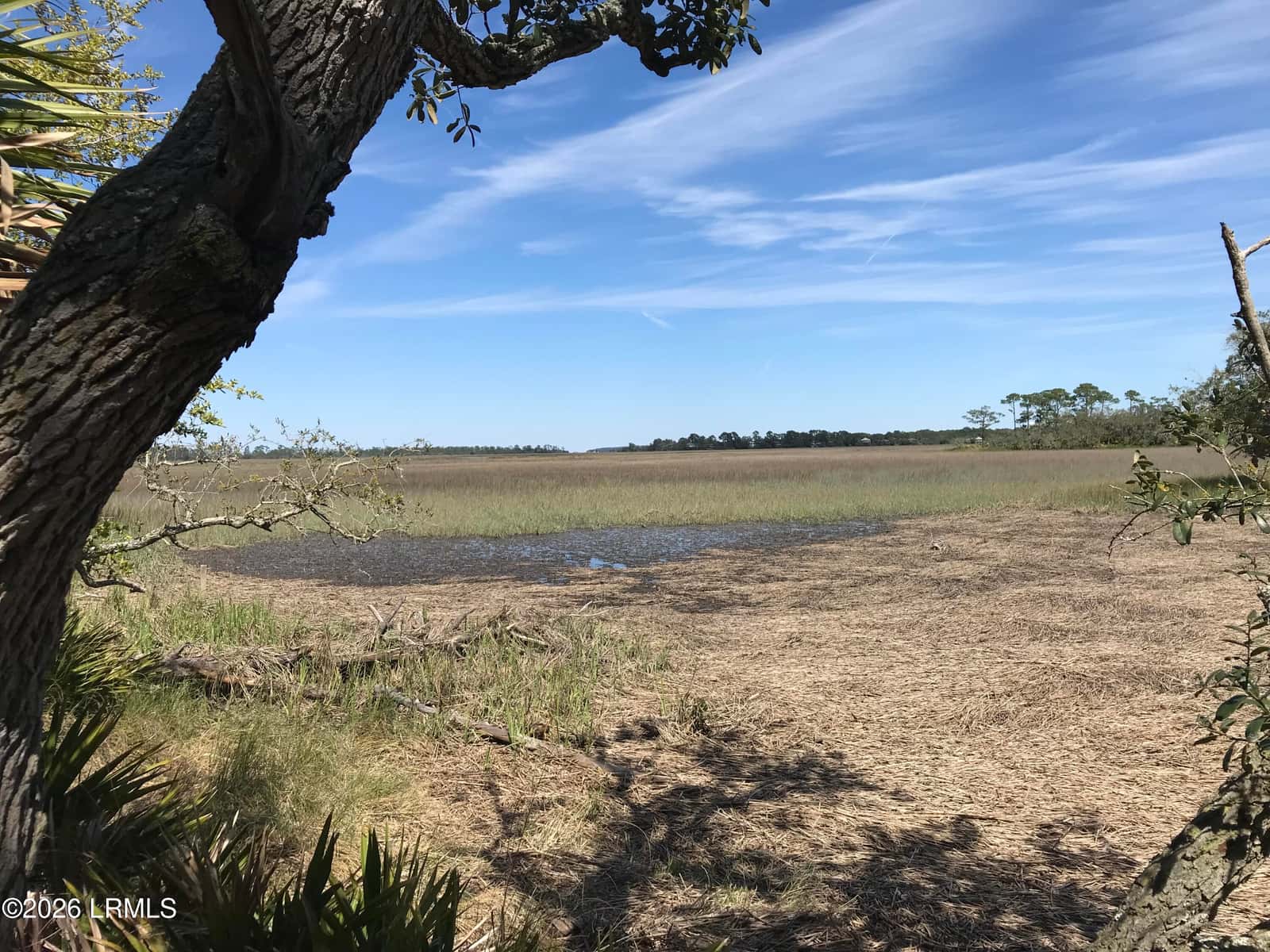 371 Pike Drive, Fripp Island, SC 29920 — photo 1 of 6