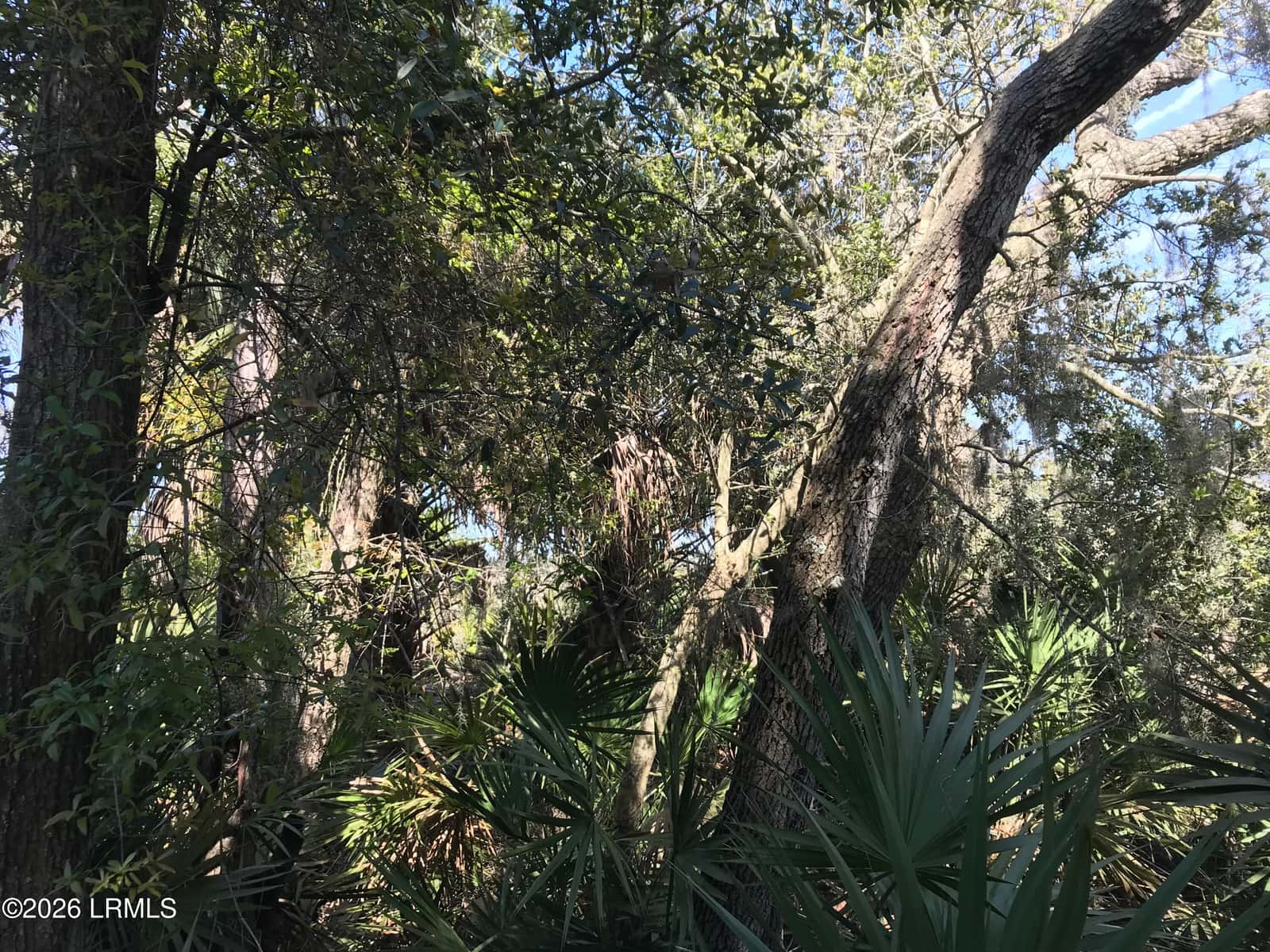 371 Pike Drive, Fripp Island, SC 29920 — photo 6 of 6