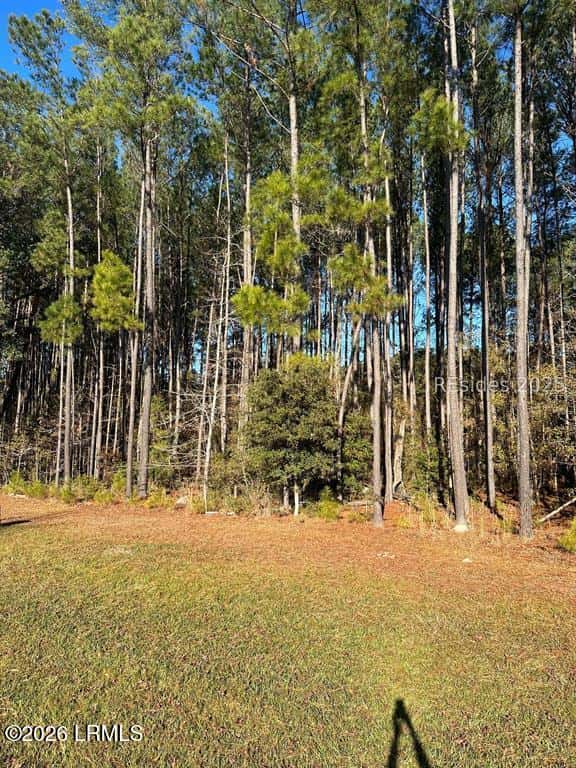 899 Somerset Drive, Yemassee, SC 29945 — photo 1 of 10