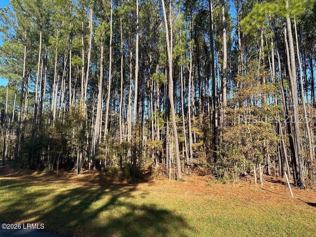803 Somerset Drive, Yemassee, SC 29945 — photo 1 of 8