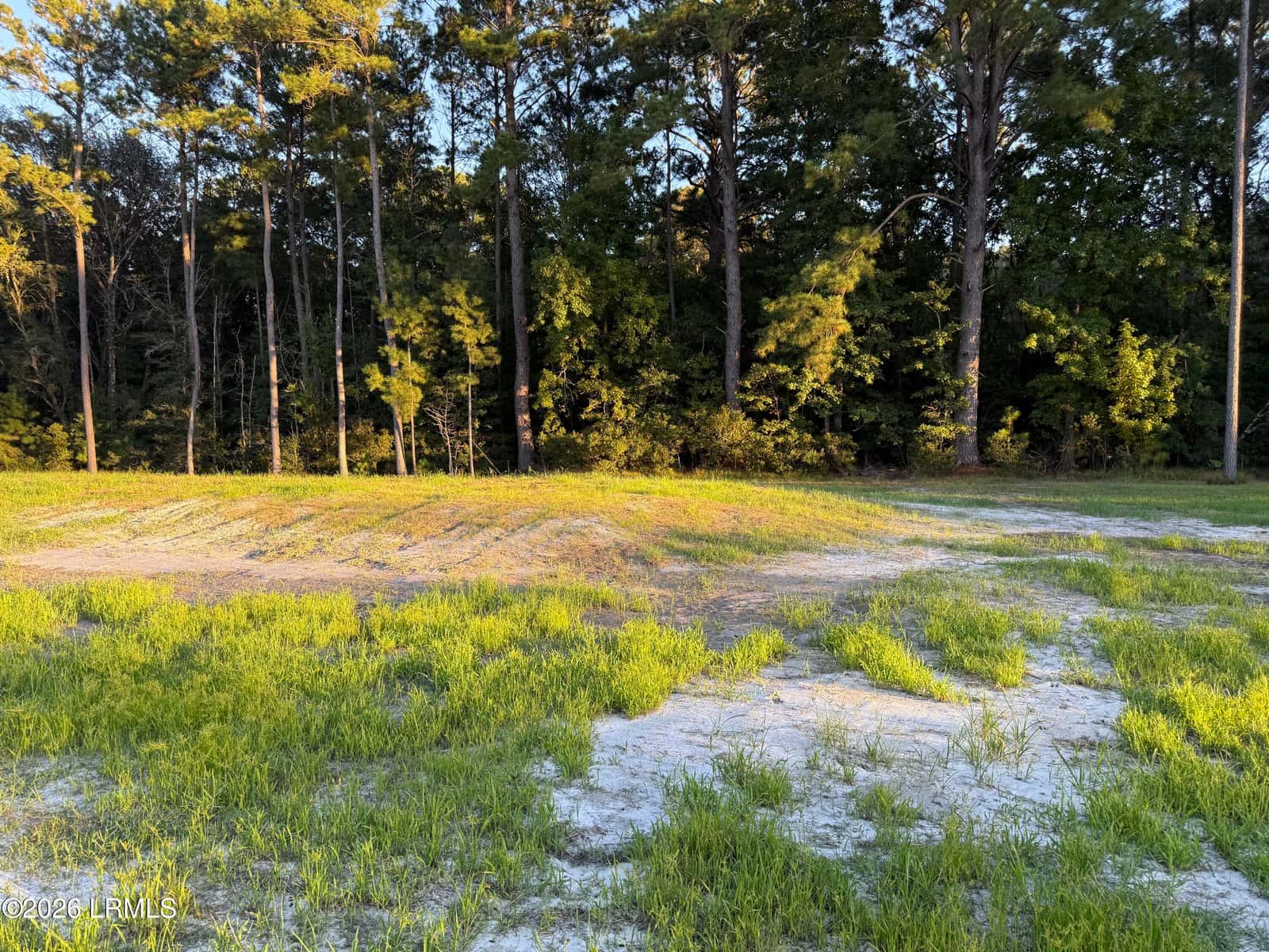 268 Proctor Street, Ridgeland, SC 29936 — photo 39 of 40