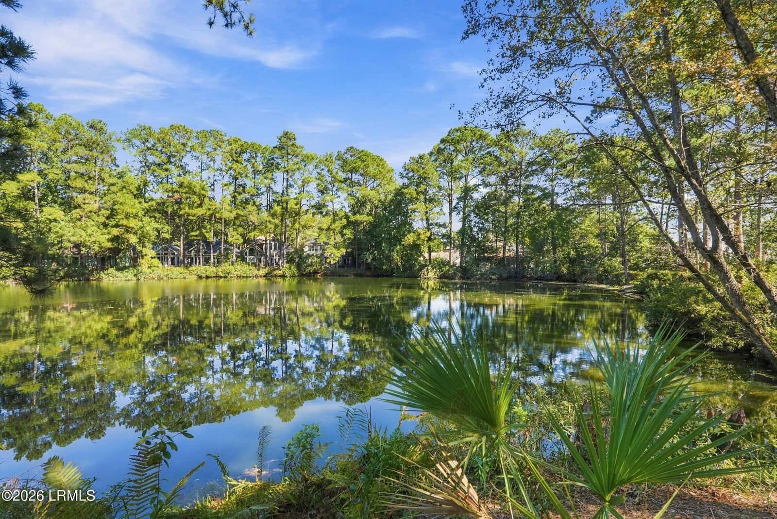 20 Toppin Drive, Hilton Head Island, SC 29926 — photo 4 of 68