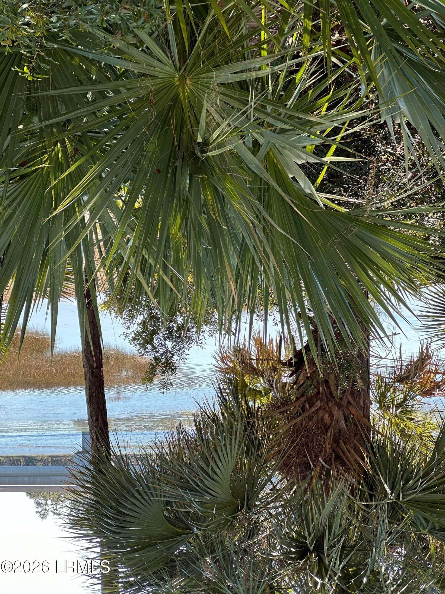 16 Pine Burr Road E 8, Hilton Head Island, SC 29926 — photo 26 of 28