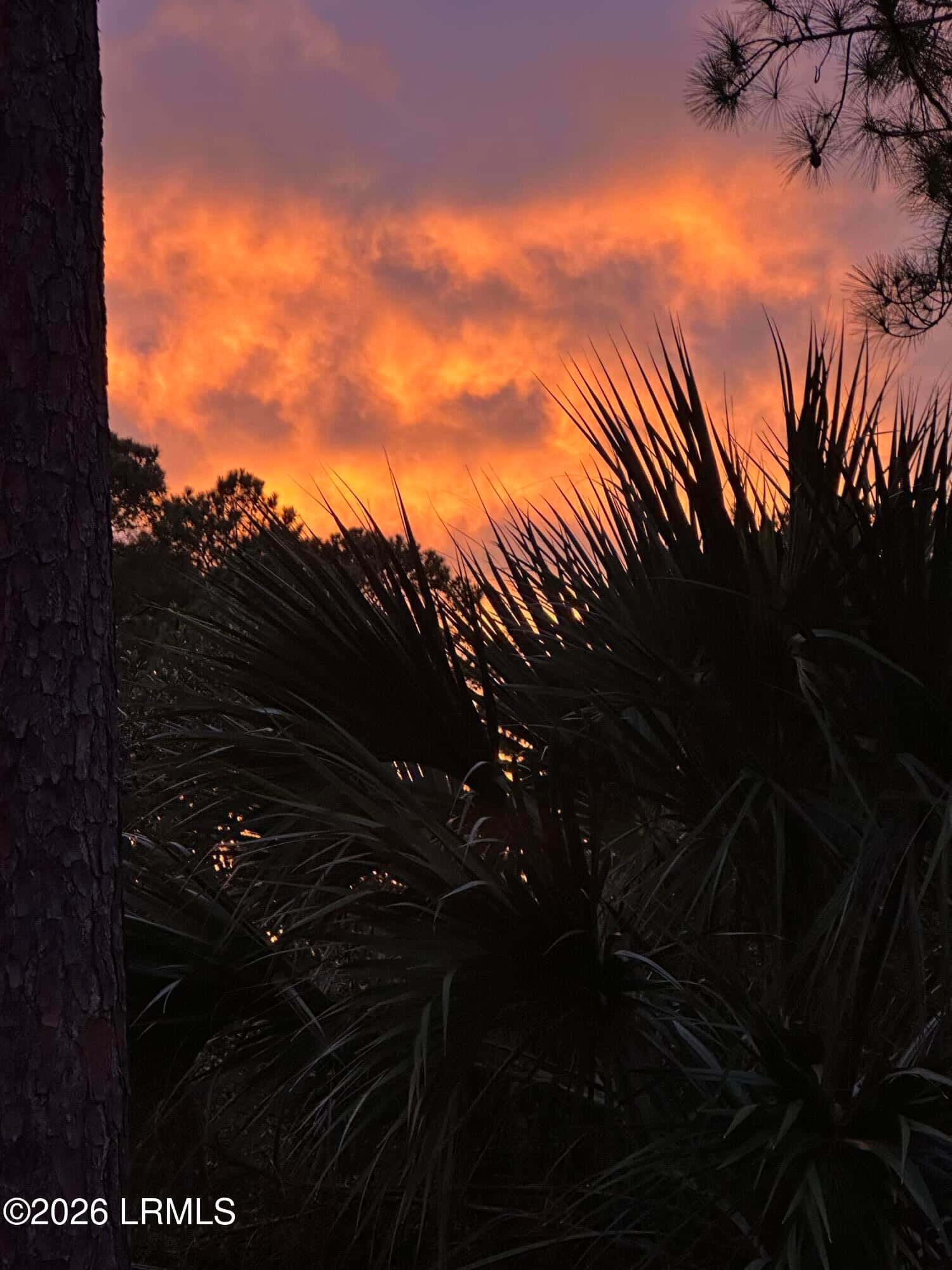 16 Pine Burr Road E 8, Hilton Head Island, SC 29926 — photo 28 of 28