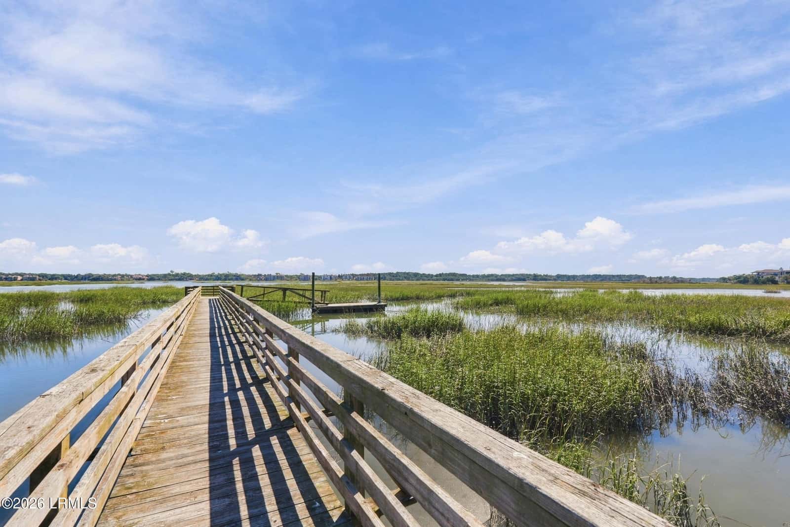 45 Peregrine Drive, Hilton Head Island, SC 29926 — photo 3 of 59
