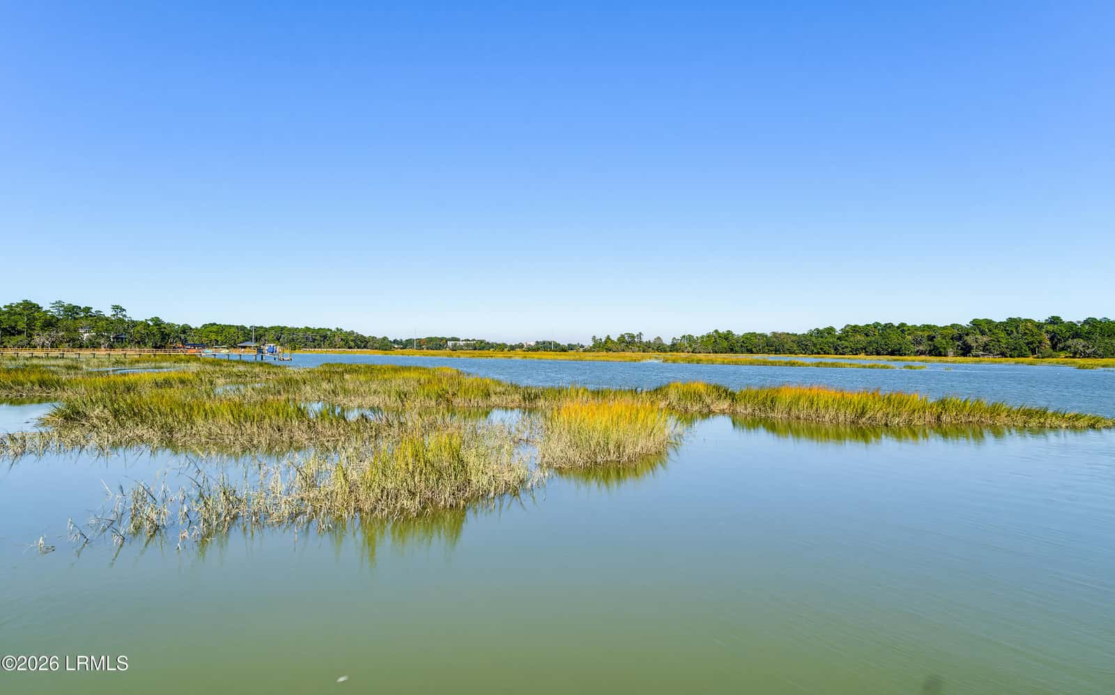 1270 Windswept Oak Lane, Beaufort, SC 29902 — photo 67 of 73