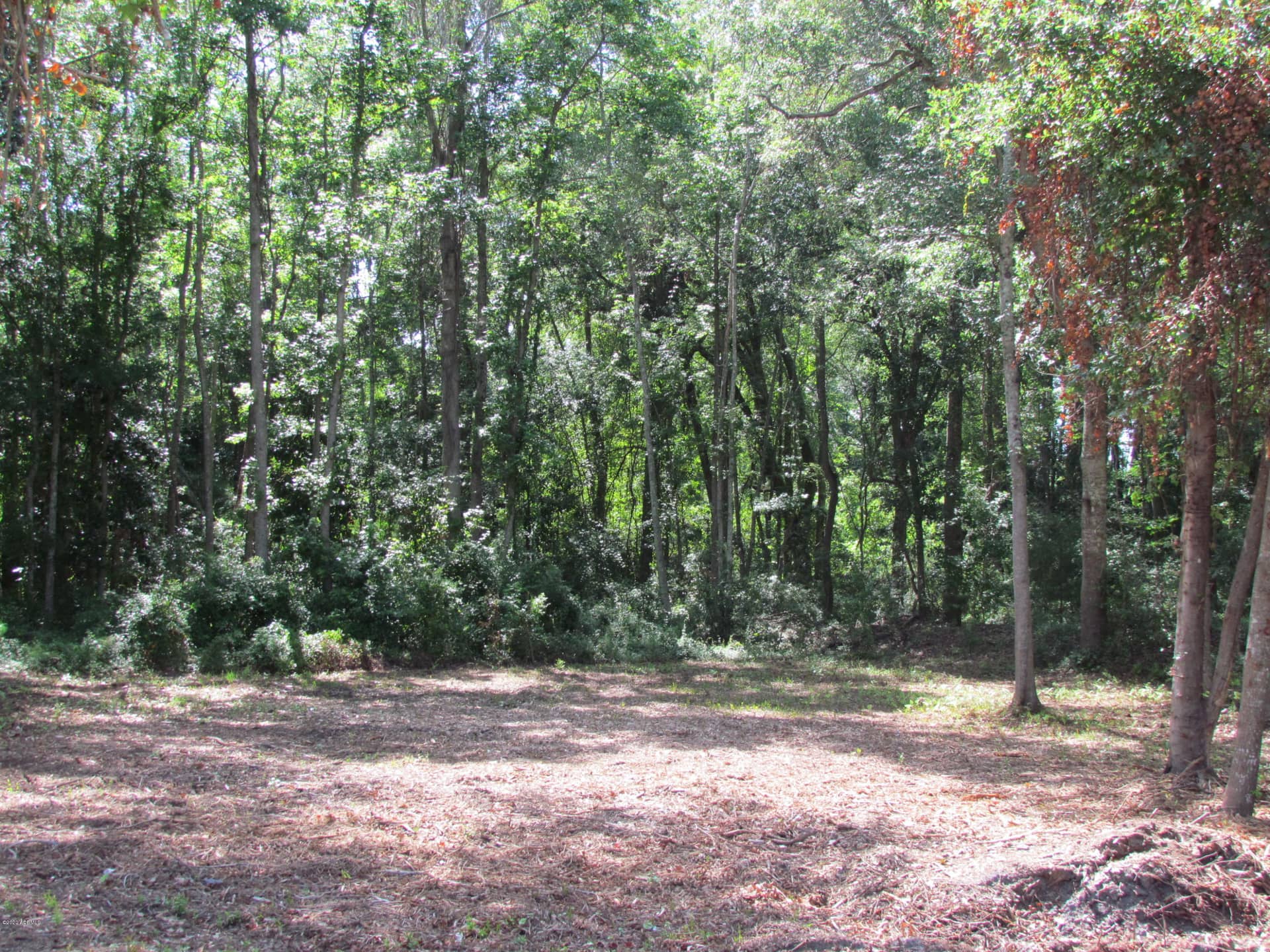 590 Robert Smalls Parkway, Beaufort, SC 29906 — photo 3 of 7