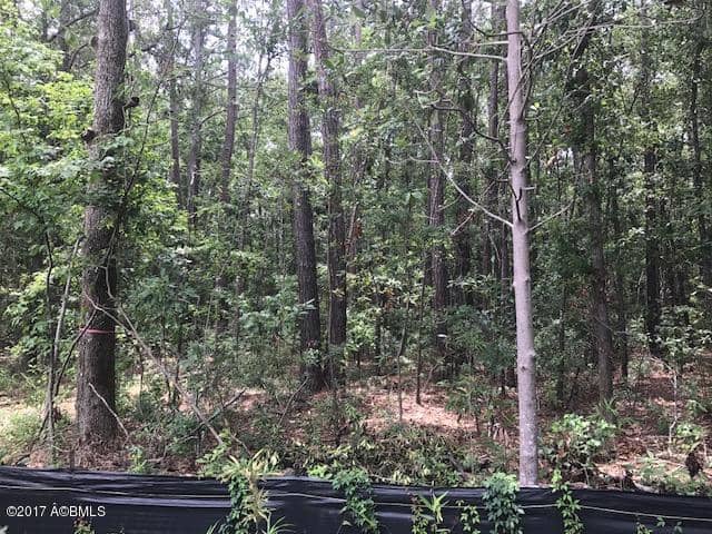 Tbd Lost Oaks Drive, Bluffton, SC 29910 — photo 10 of 11