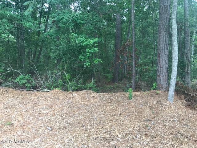 Tbd Lost Oaks Drive, Bluffton, SC 29910 — photo 11 of 11