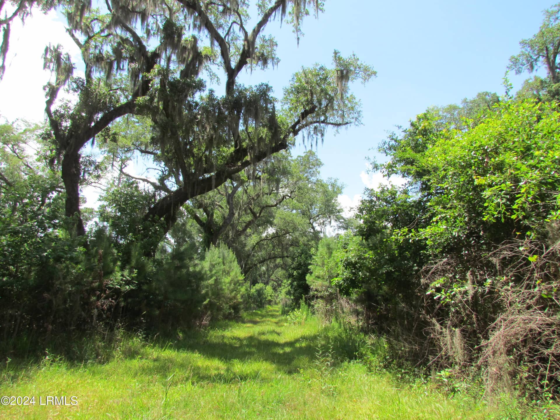 214 Seabrook Road A, Seabrook, SC 29940 — photo 13 of 17