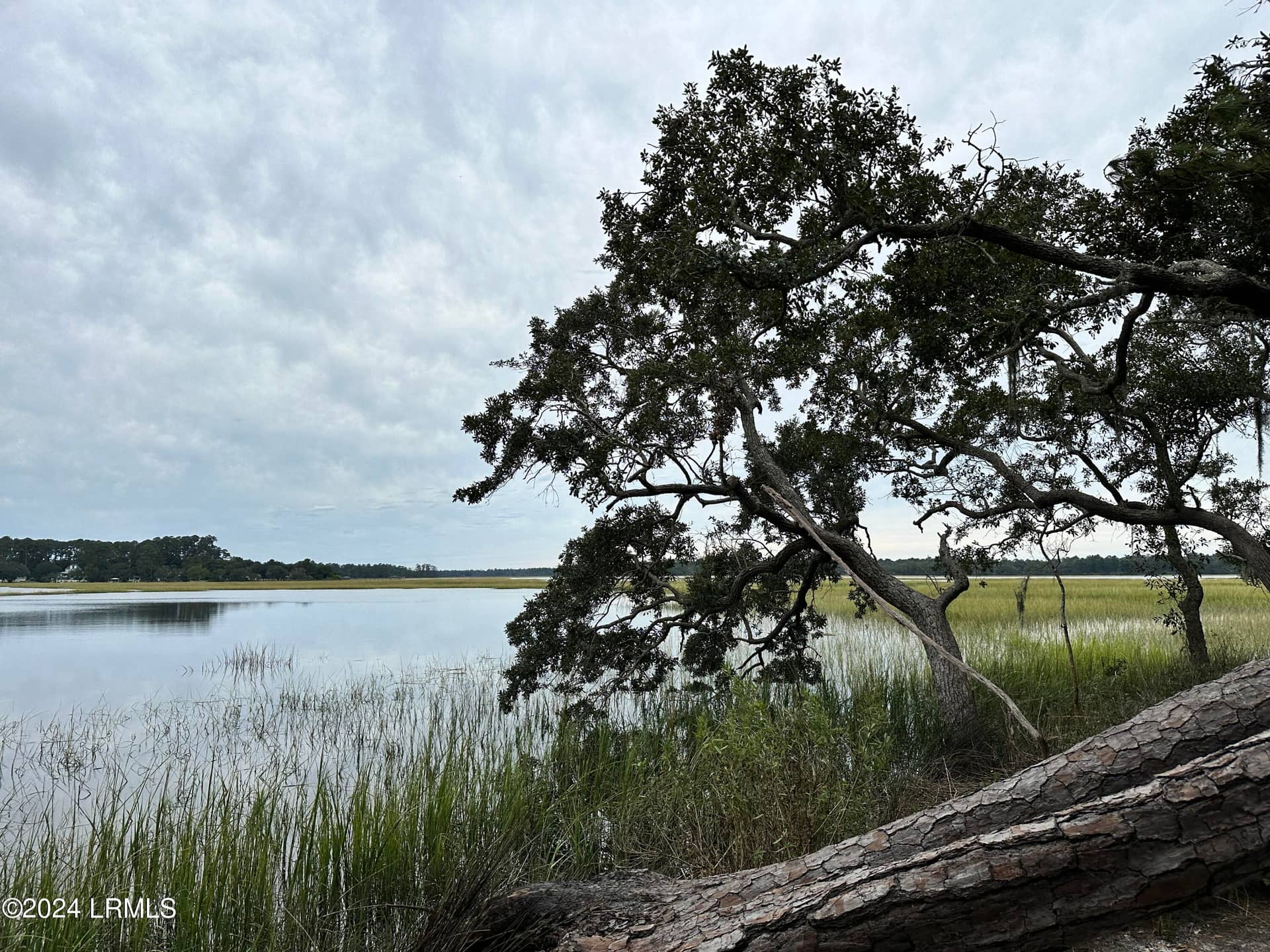 214 Seabrook Road A, Seabrook, SC 29940 — photo 5 of 17