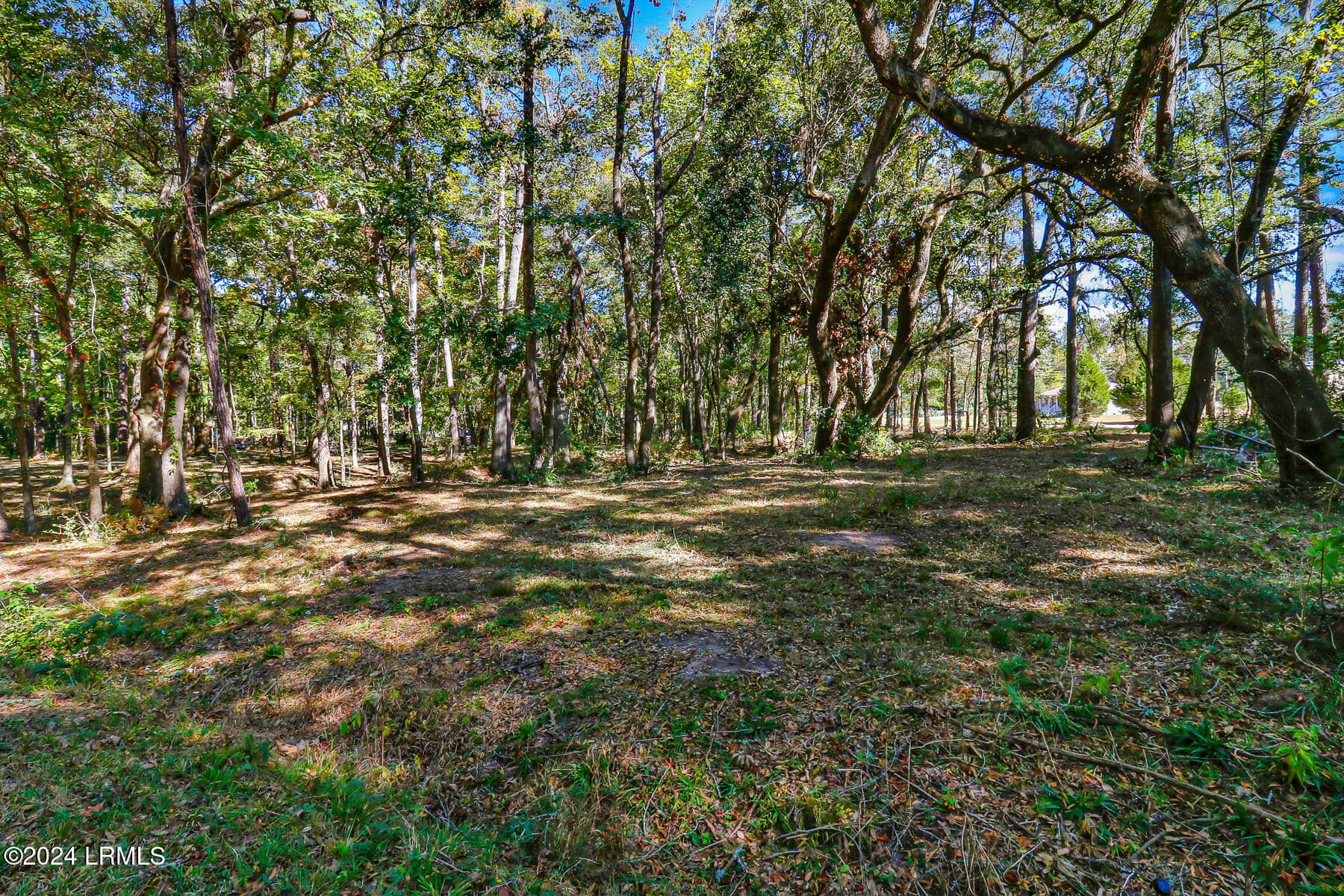 152 Riverview Drive, Ridgeland, SC 29936 — photo 14 of 24