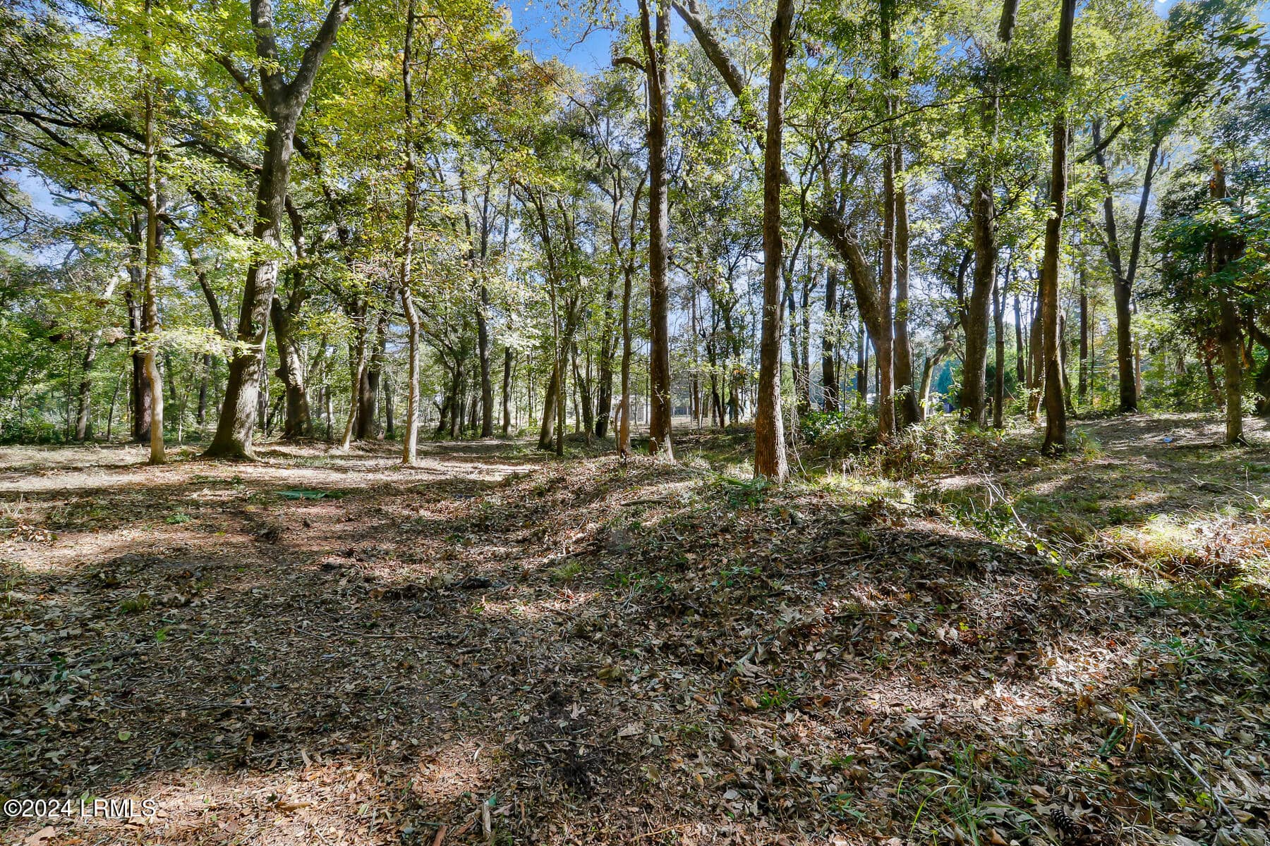 152 Riverview Drive, Ridgeland, SC 29936 — photo 16 of 24