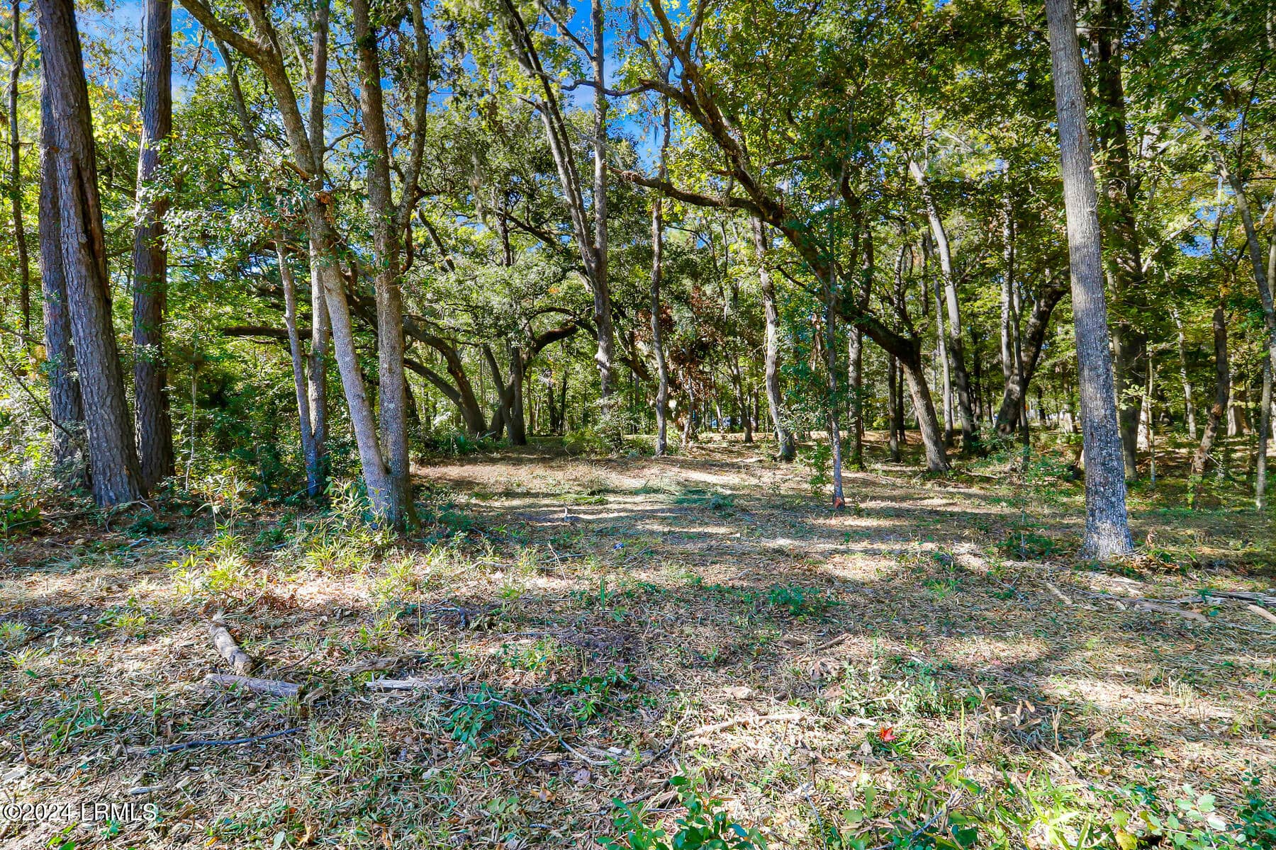 152 Riverview Drive, Ridgeland, SC 29936 — photo 18 of 24