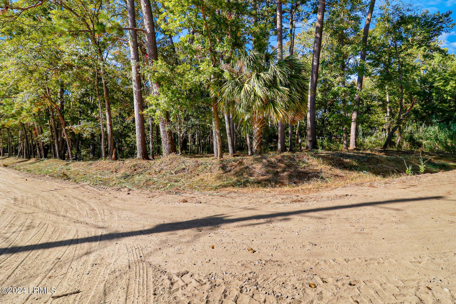 152 Riverview Drive, Ridgeland, SC 29936 — photo 21 of 24