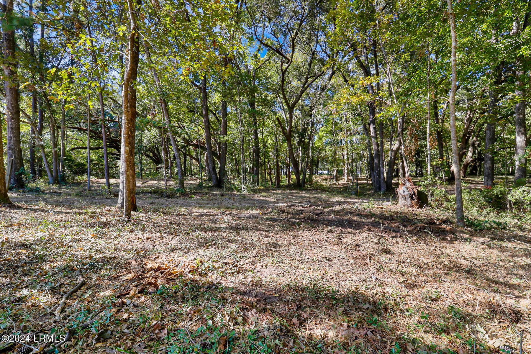 152 Riverview Drive, Ridgeland, SC 29936 — photo 23 of 24
