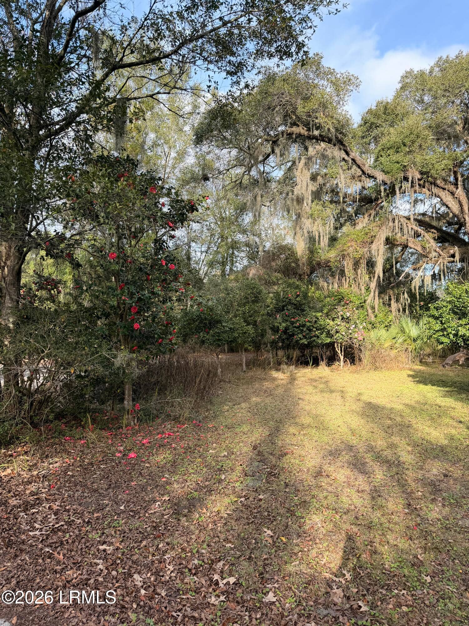1007 May River Road, Bluffton, SC 29910 — photo 8 of 10