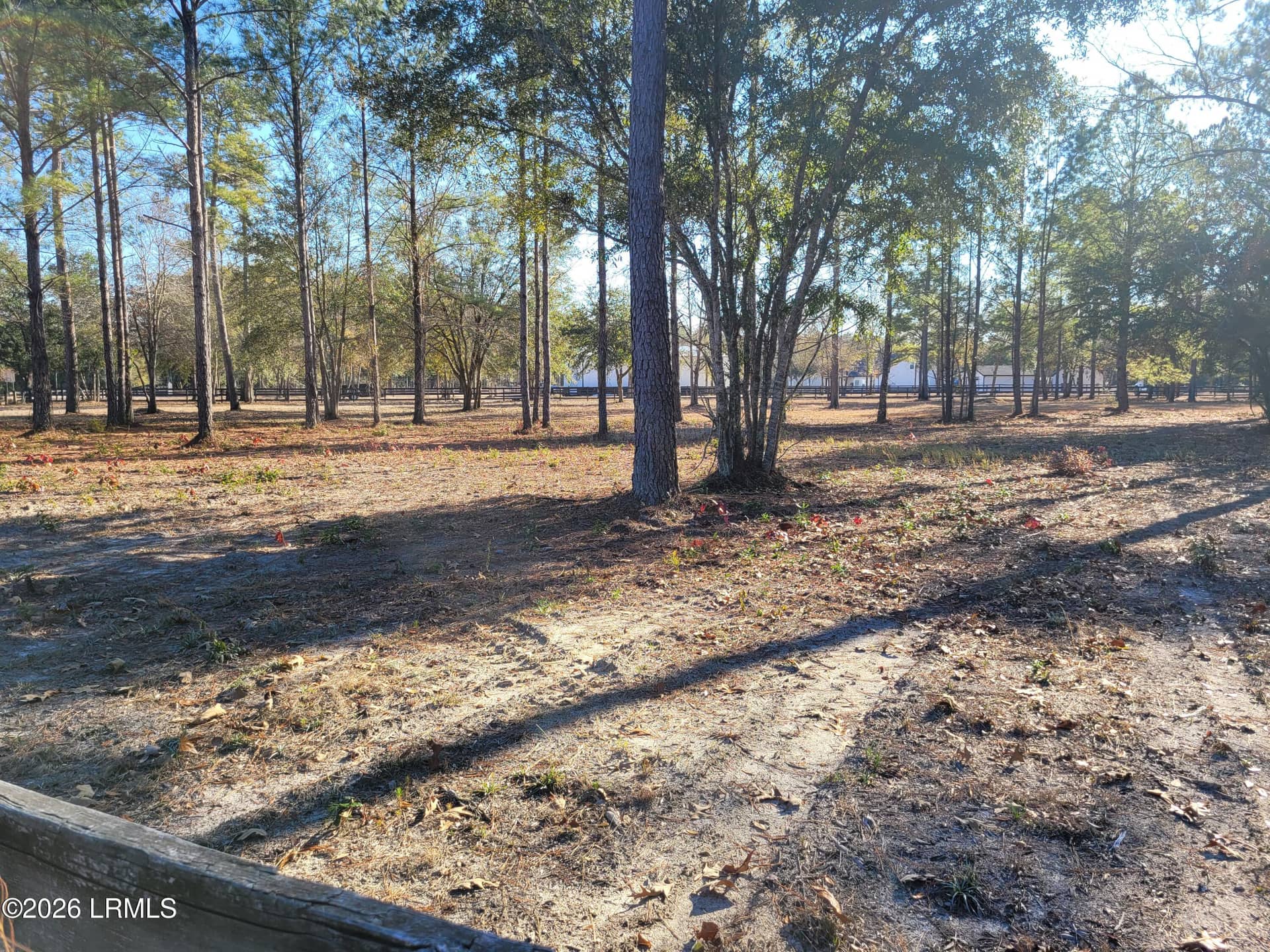 Tbd Beaver Dam Road, Ridgeland, SC 29936 — photo 5 of 10
