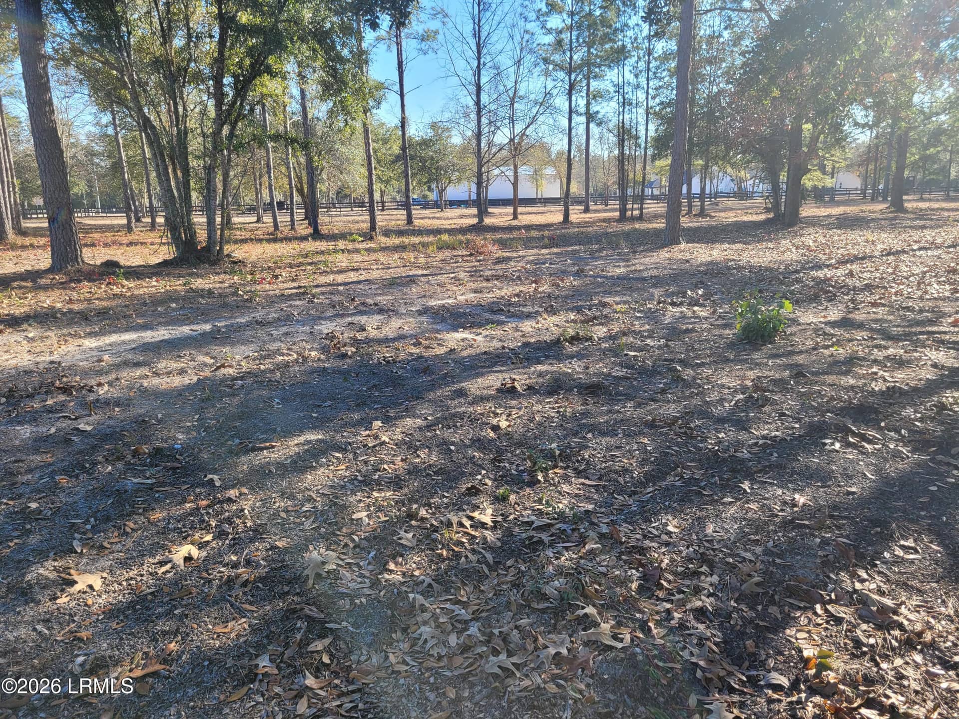 Tbd Beaver Dam Road, Ridgeland, SC 29936 — photo 6 of 10