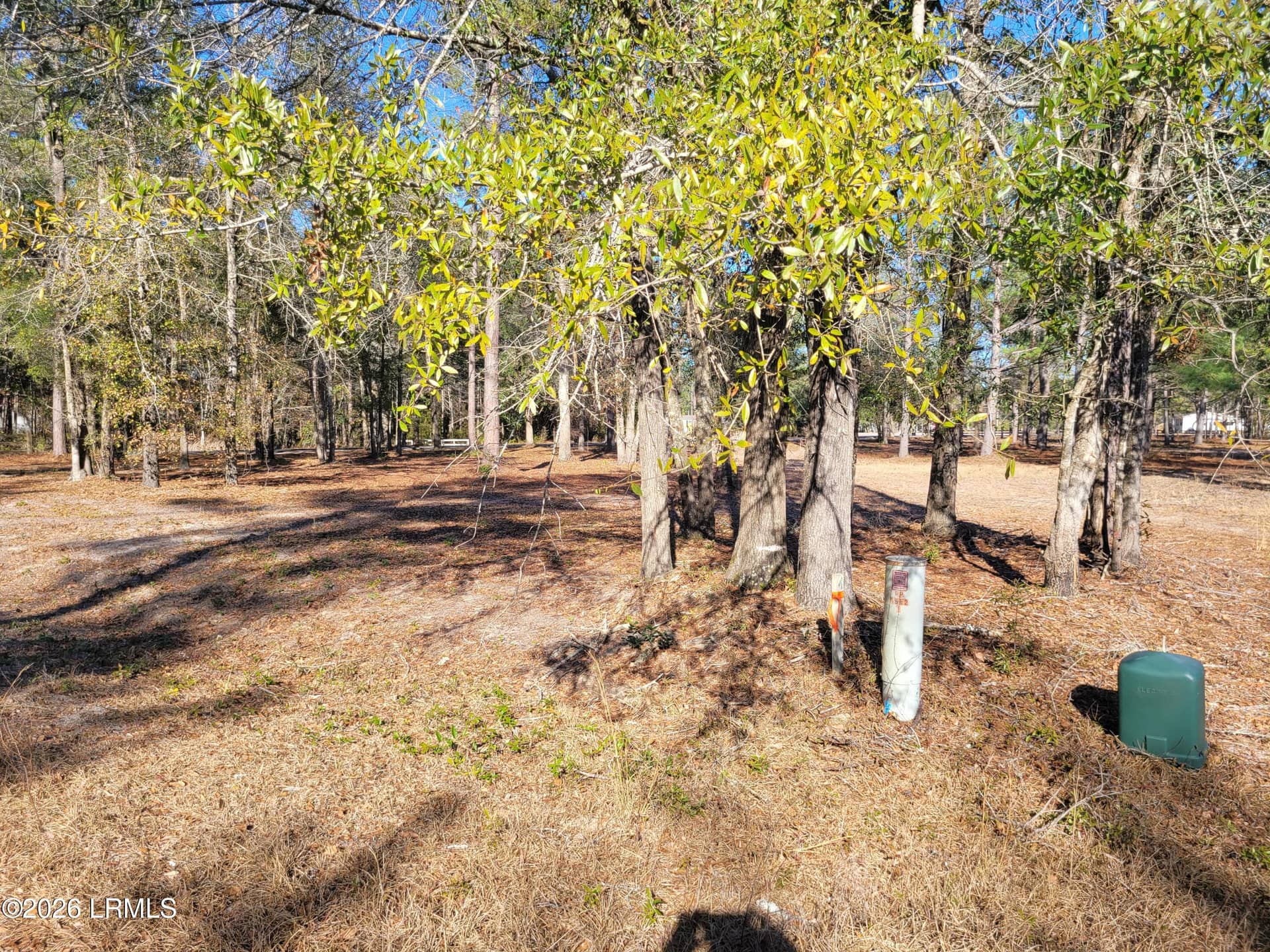 Tbd Beaver Dam Road, Ridgeland, SC 29936 — photo 8 of 10