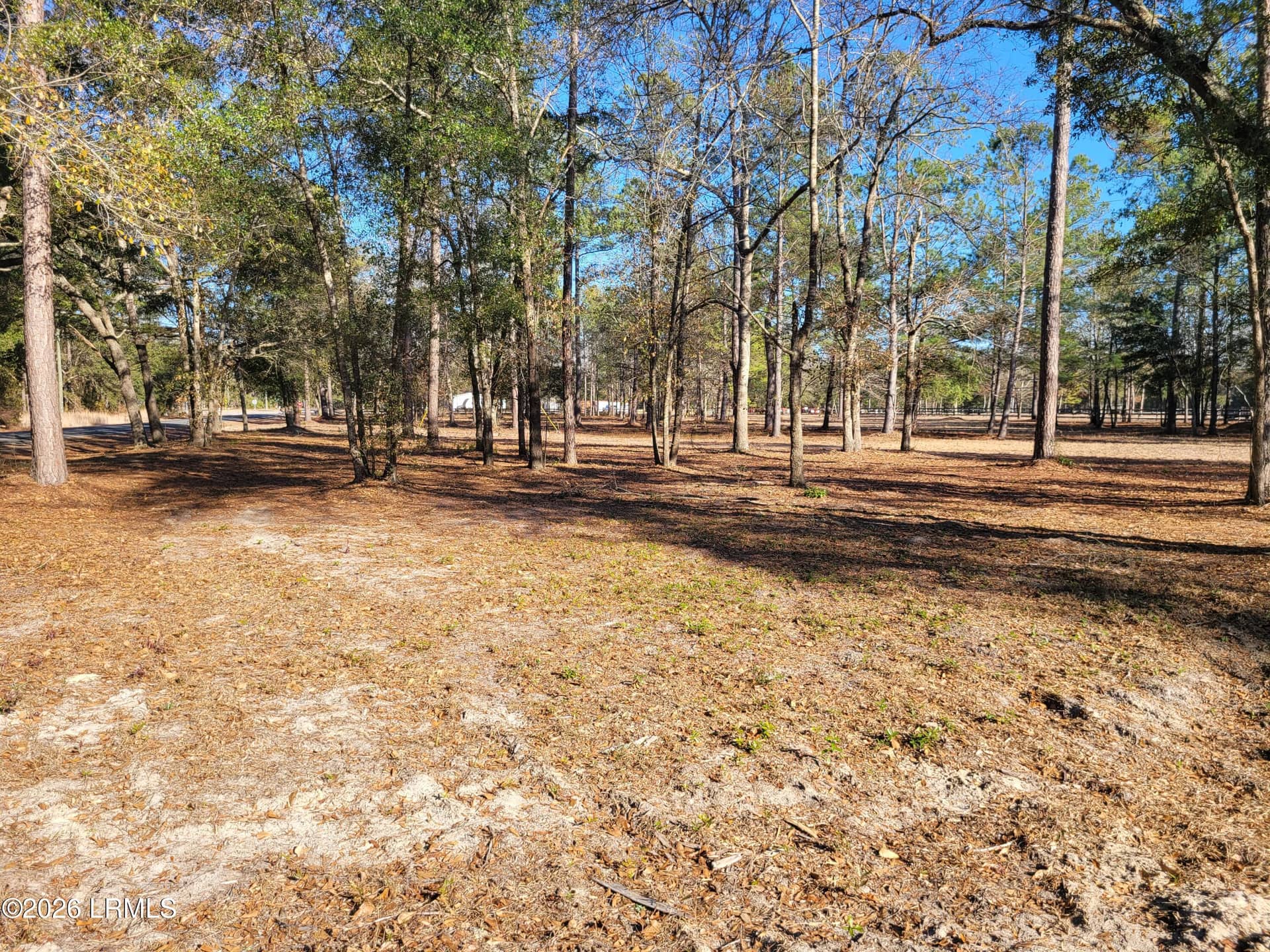 Tbd Beaver Dam Road, Ridgeland, SC 29936 — photo 3 of 10