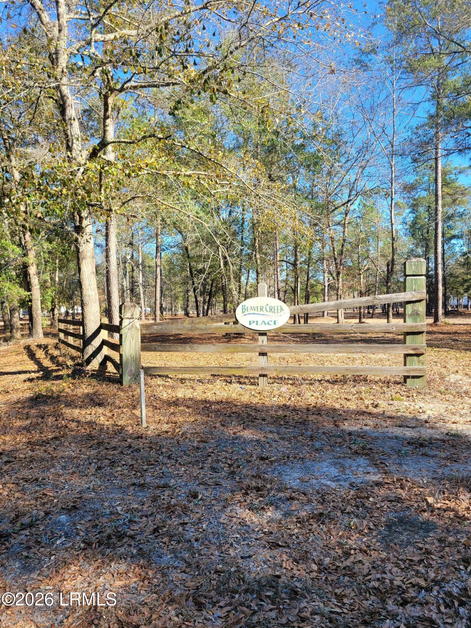 Tbd Beaver Dam Road, Ridgeland, SC 29936 — photo 9 of 10