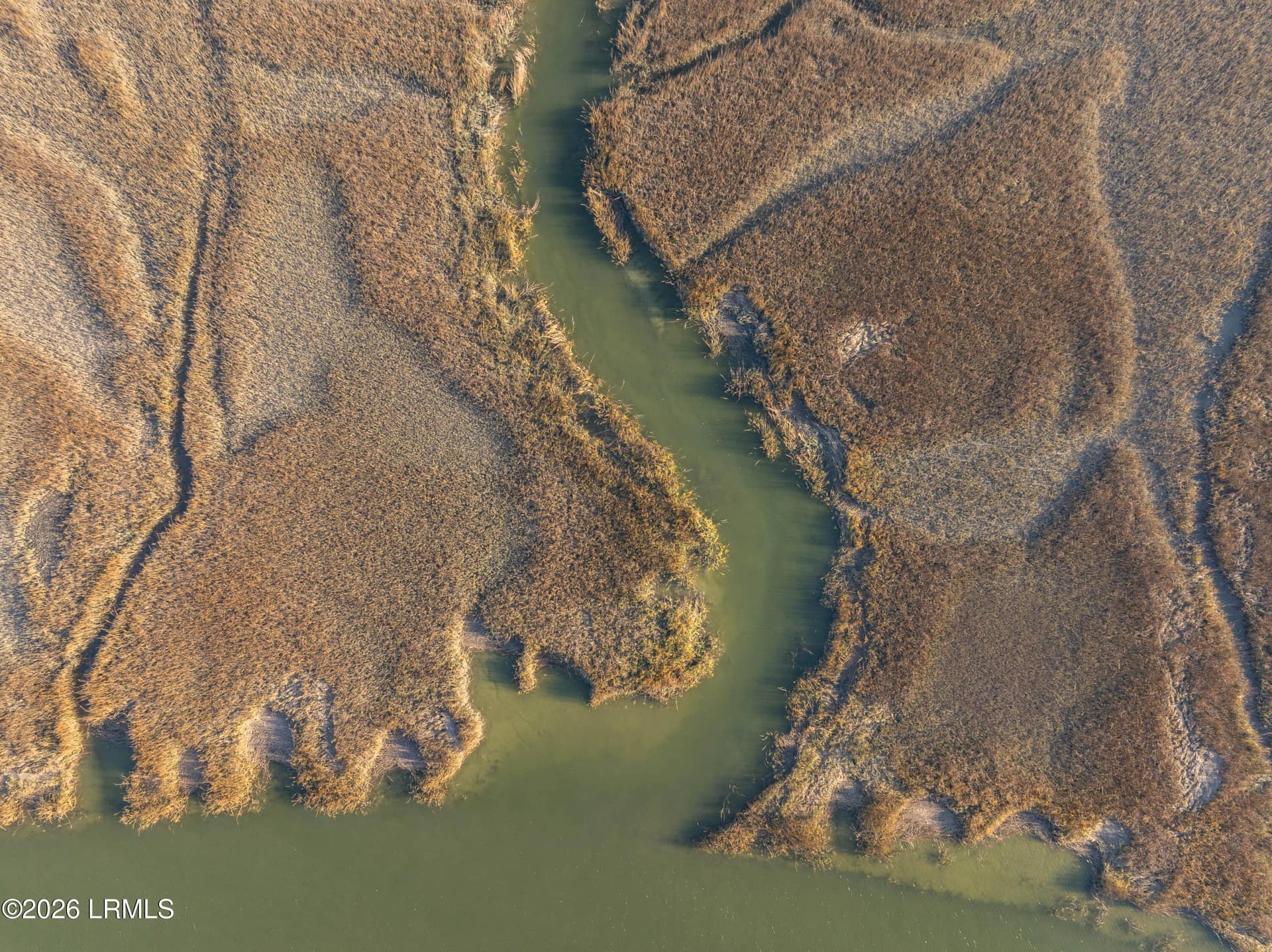 Tbd Blackwall Island, St. Helena Island, SC 29920 — photo 5 of 11