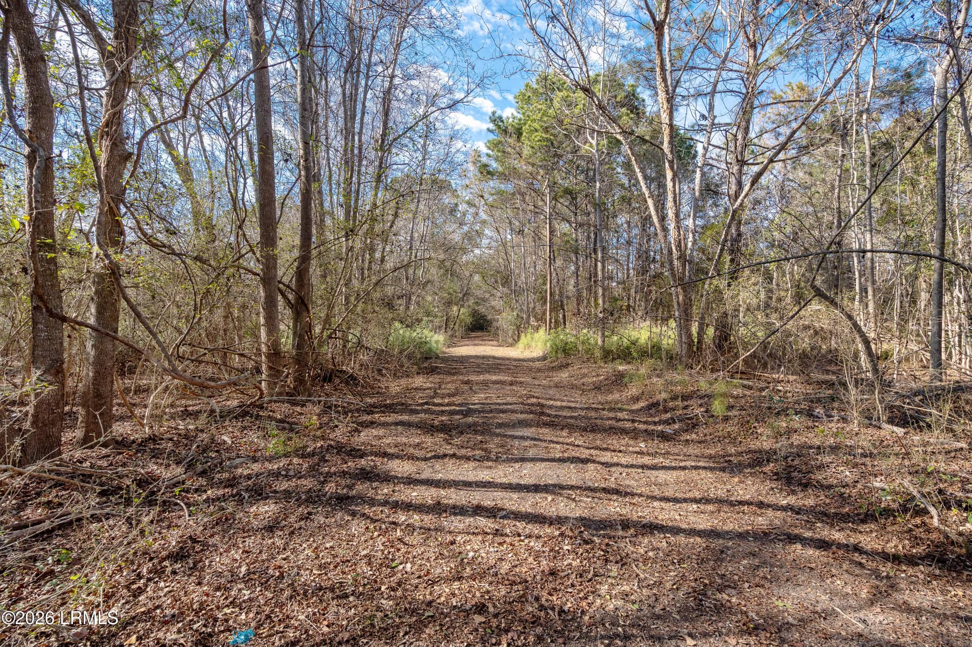 83 Fripp Point Road, St. Helena Island, SC 29920 — photo 5 of 20