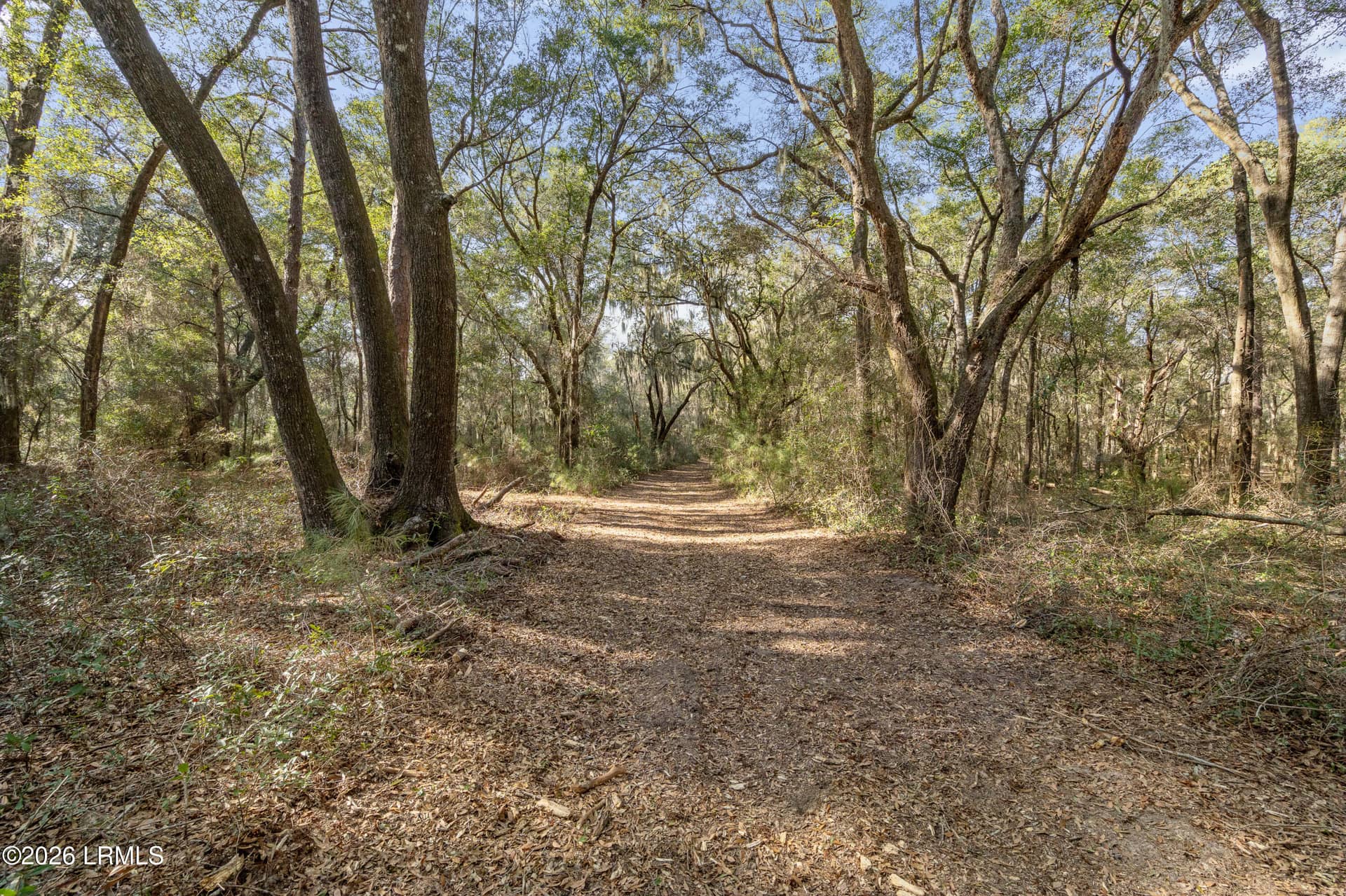 83 Fripp Point Road, St. Helena Island, SC 29920 — photo 18 of 20