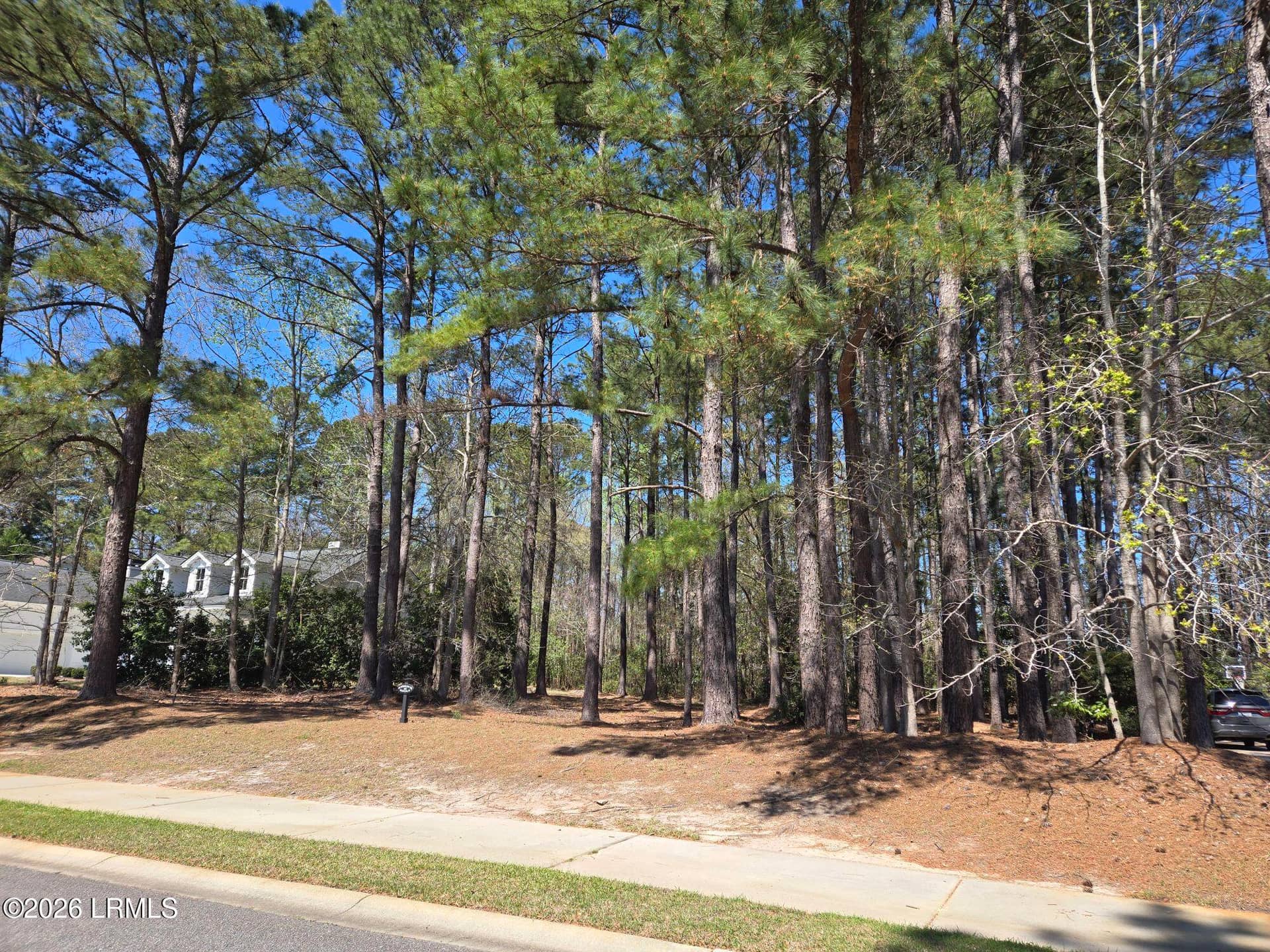 92 Wicklow Drive, Bluffton, SC 29910 — photo 2 of 7