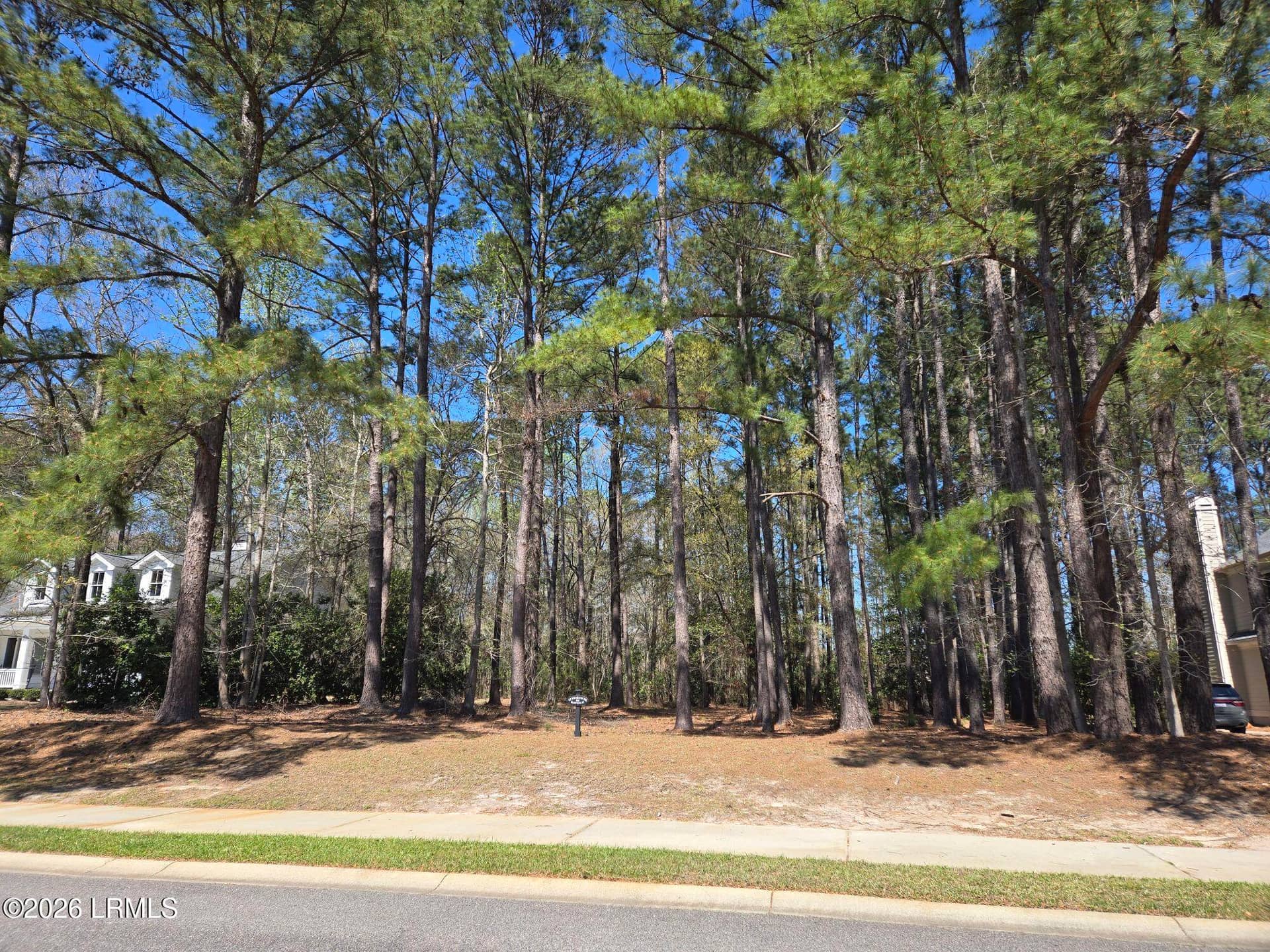 92 Wicklow Drive, Bluffton, SC 29910 — photo 4 of 7