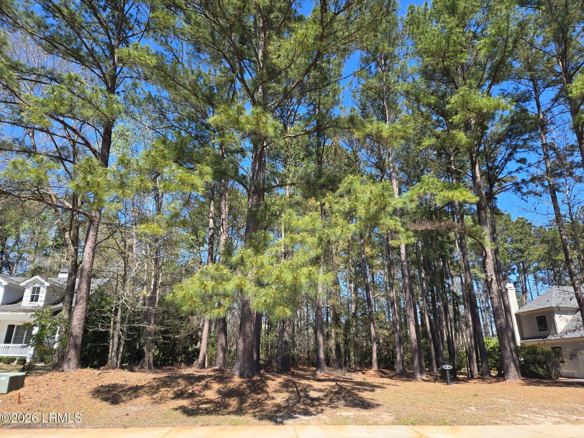 92 Wicklow Drive, Bluffton, SC 29910 — photo 5 of 7