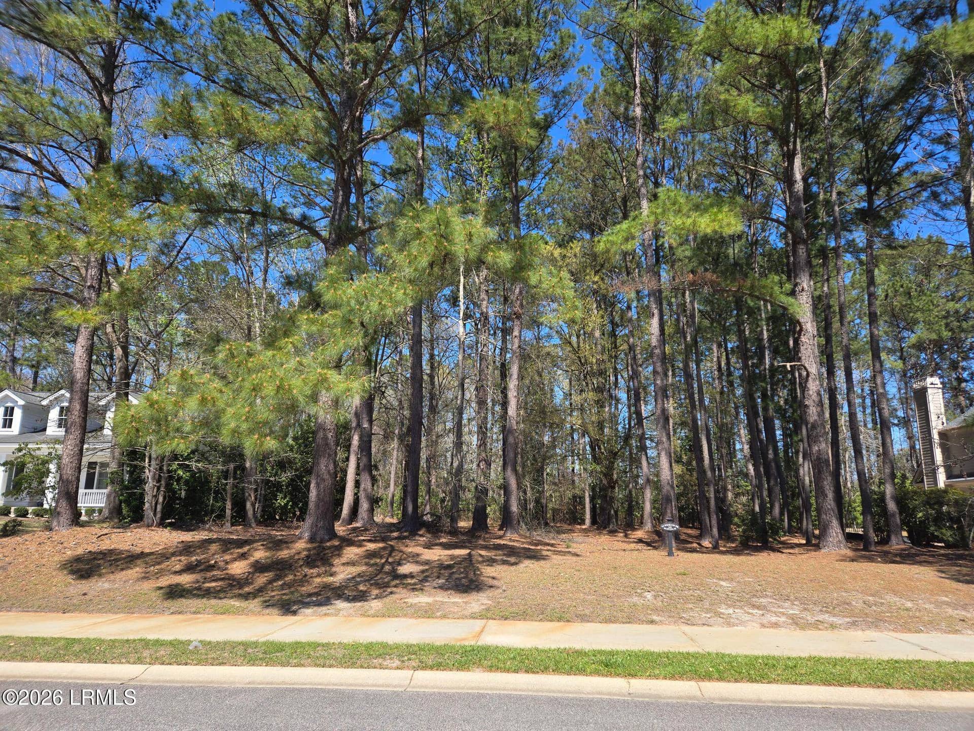 92 Wicklow Drive, Bluffton, SC 29910 — photo 6 of 7