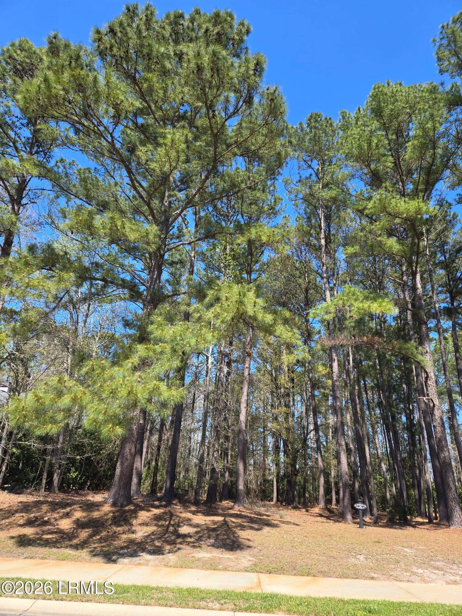 92 Wicklow Drive, Bluffton, SC 29910 — photo 7 of 7